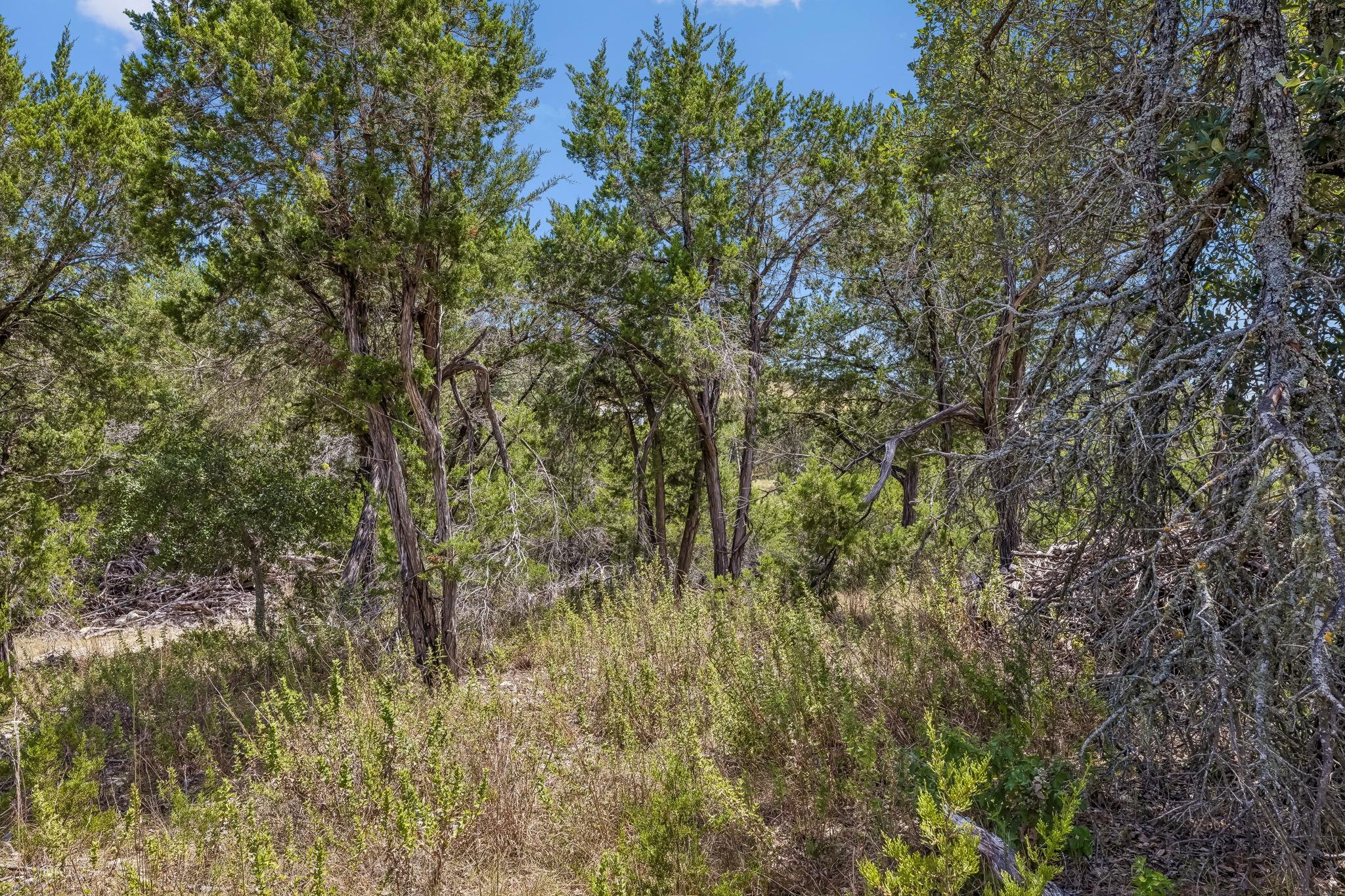 Lot 1b Evergreen Way Property Photo 3