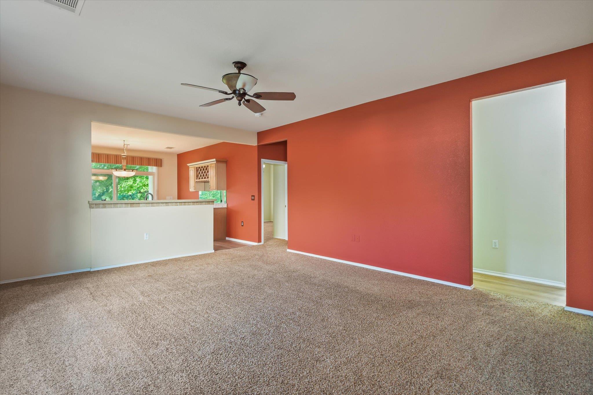 111 Bonham Loop Property Photo 8