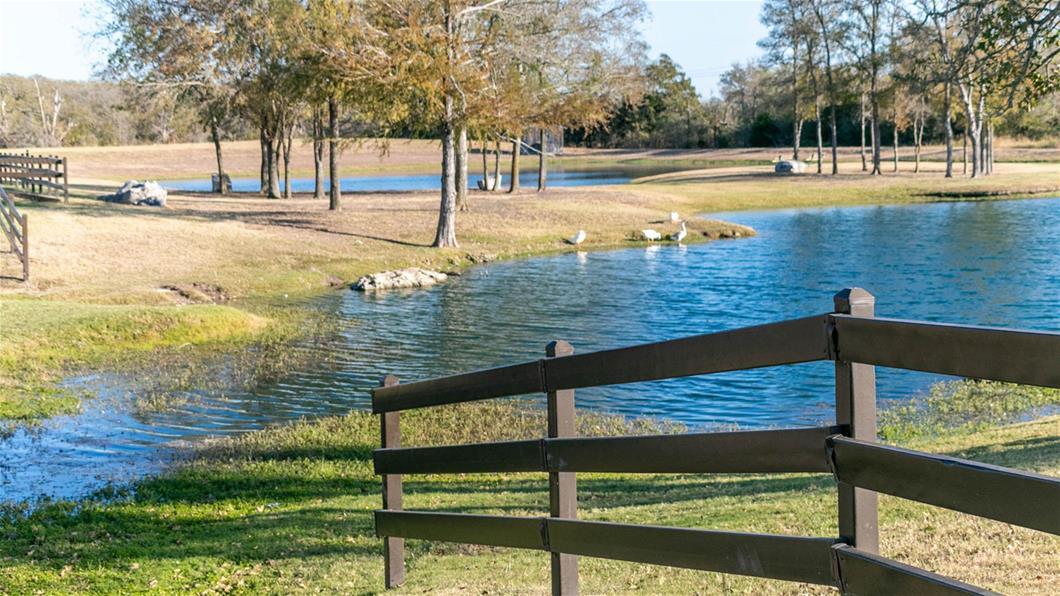 177 Plumbago Loop Property Photo 20