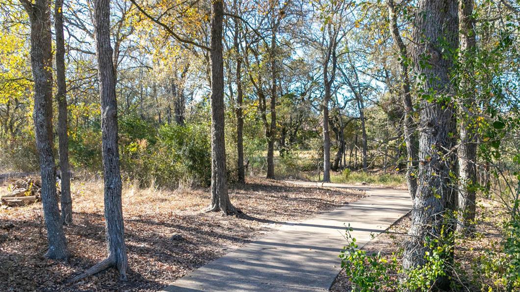 177 Plumbago Loop Property Photo 24