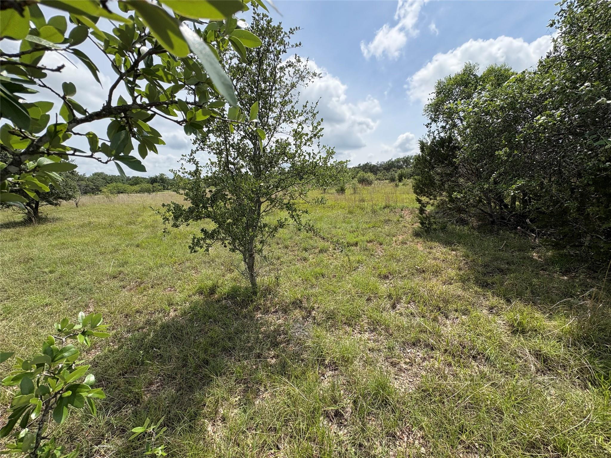 Tbd Shovel Mountain Rd Property Photo 3