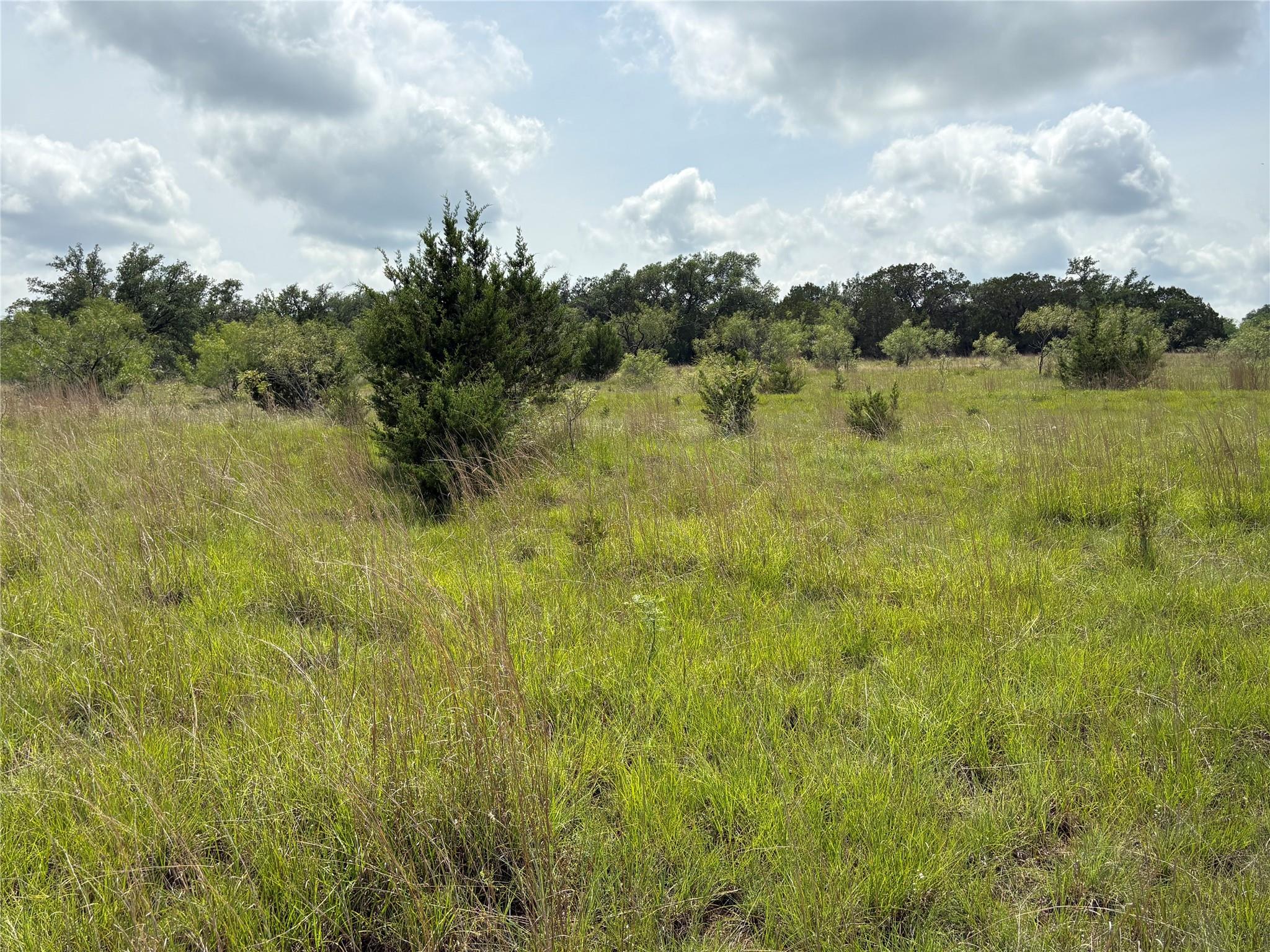 Tbd Shovel Mountain Rd Property Photo 4