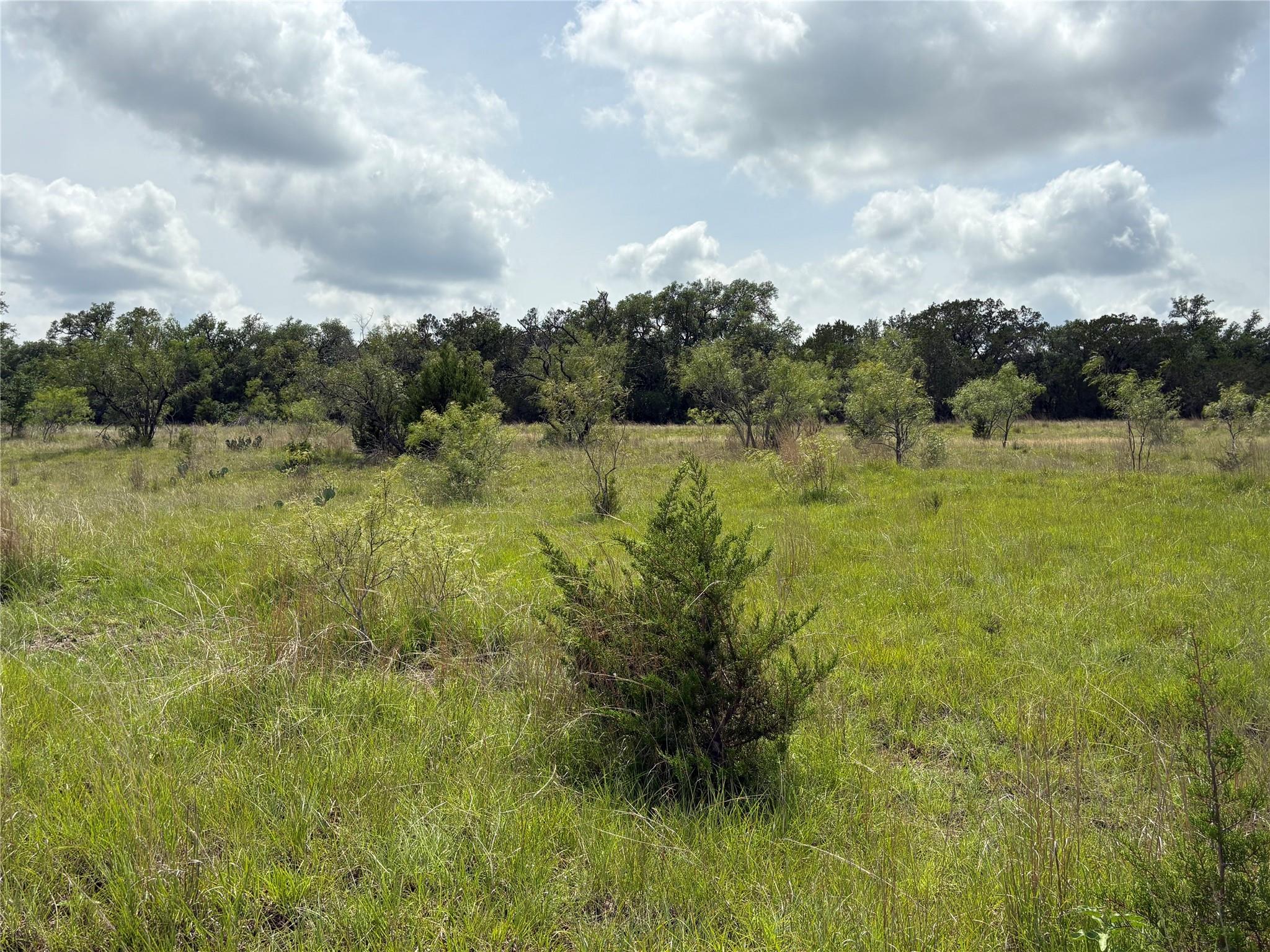 Tbd Shovel Mountain Rd Property Photo 5