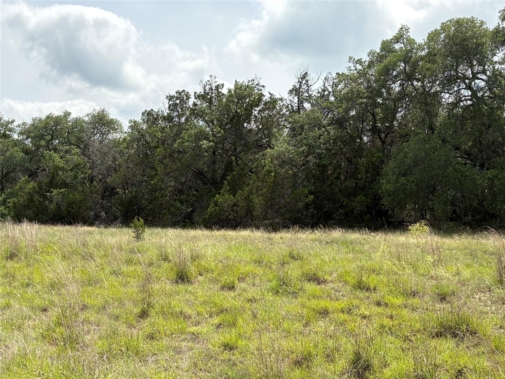 Tbd Shovel Mountain Rd Property Photo 9