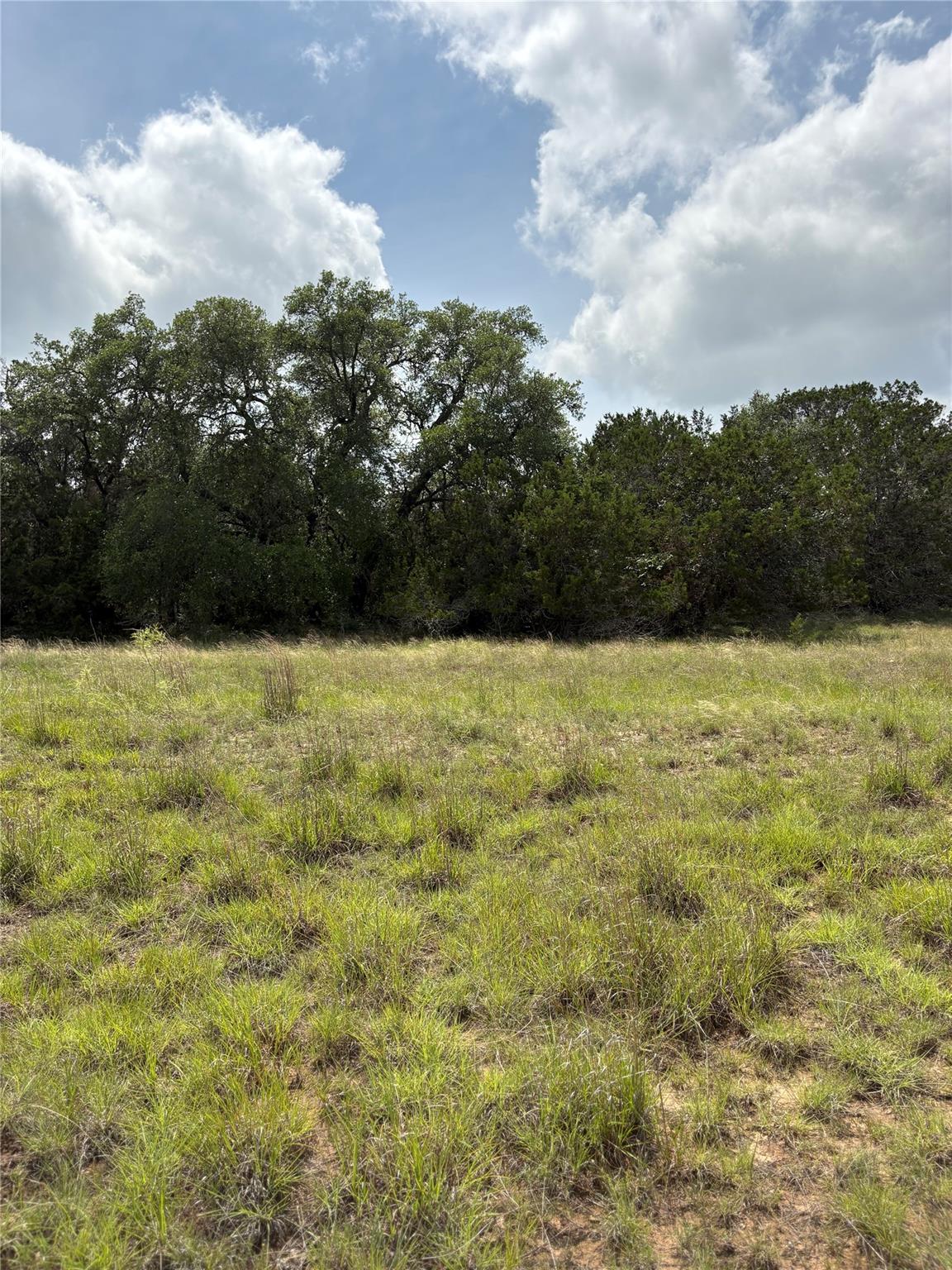Tbd Shovel Mountain Rd Property Photo 10