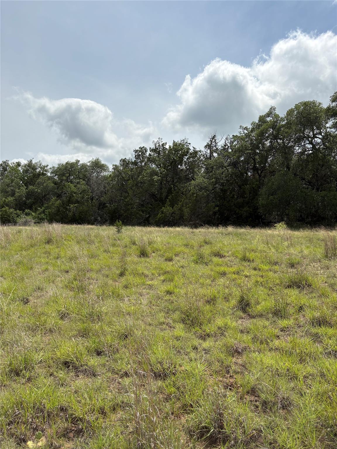 Tbd Shovel Mountain Rd Property Photo 11