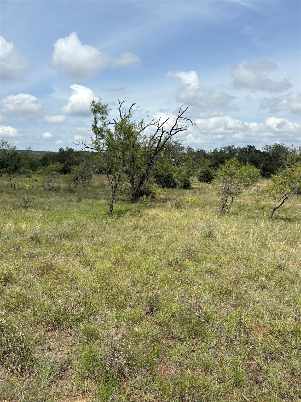 Tbd Shovel Mountain Rd Property Photo 14