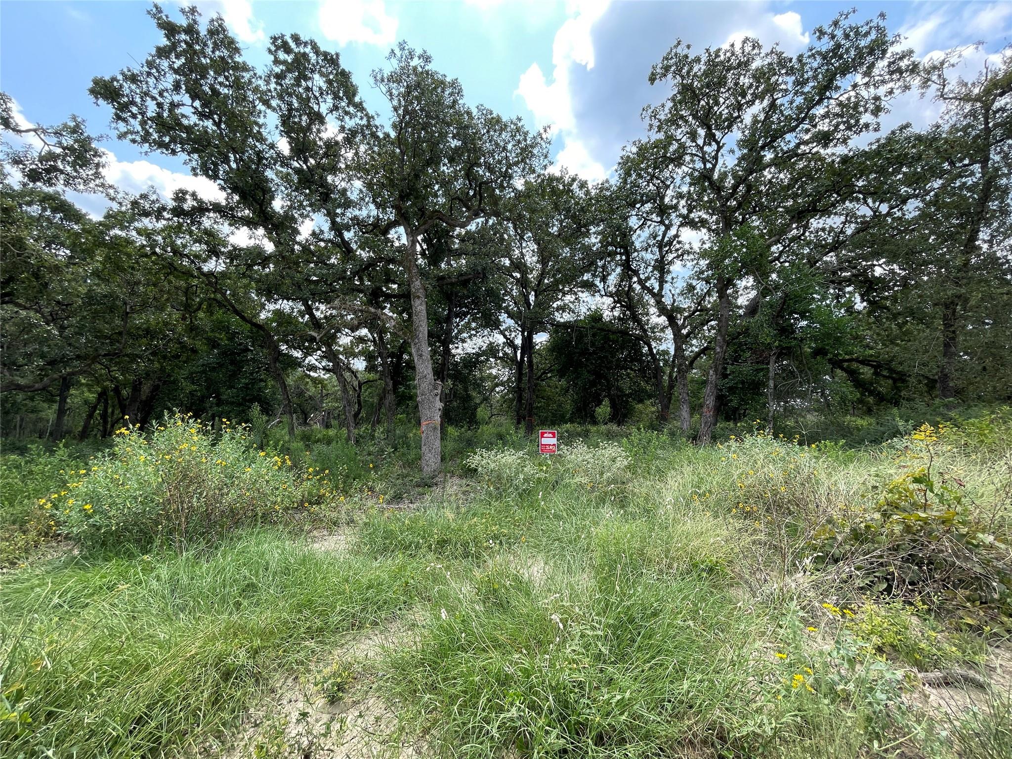 1300 Cypress Trail Loop Property Photo 11