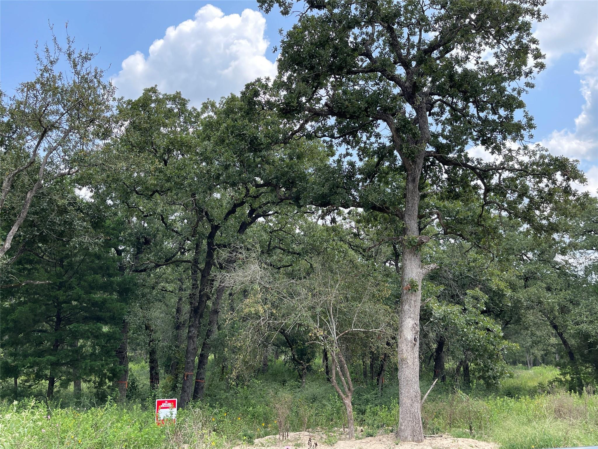 1300 Cypress Trail Loop Property Photo 17