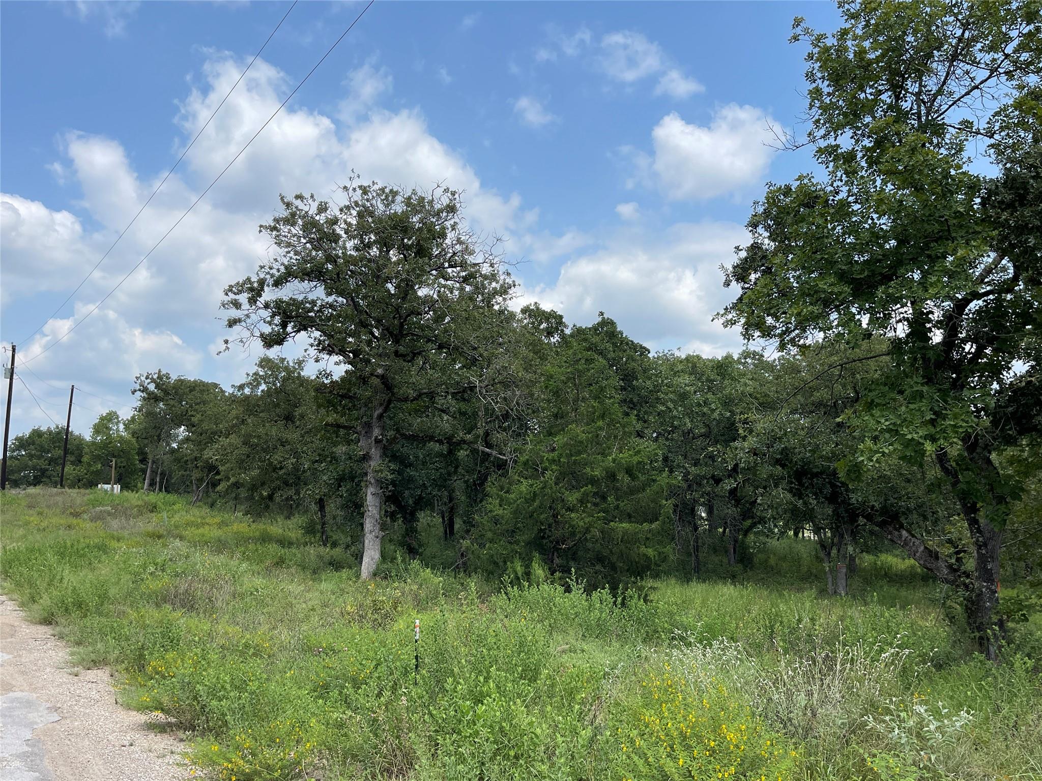 1300 Cypress Trail Loop Property Photo 18