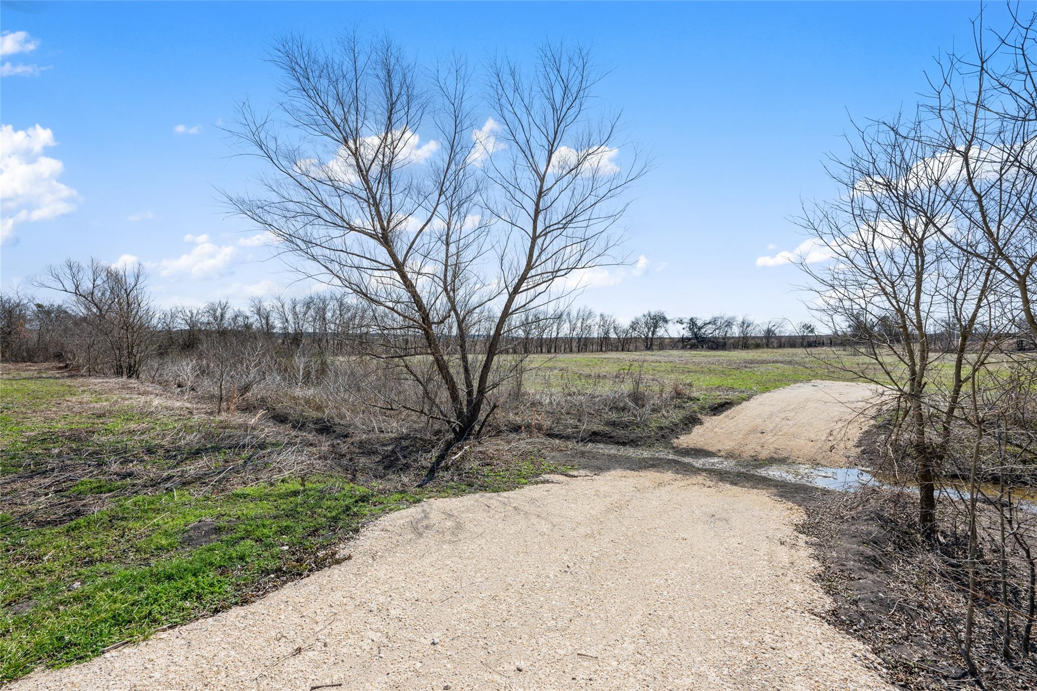 2558 E Fm 487 Property Photo 20