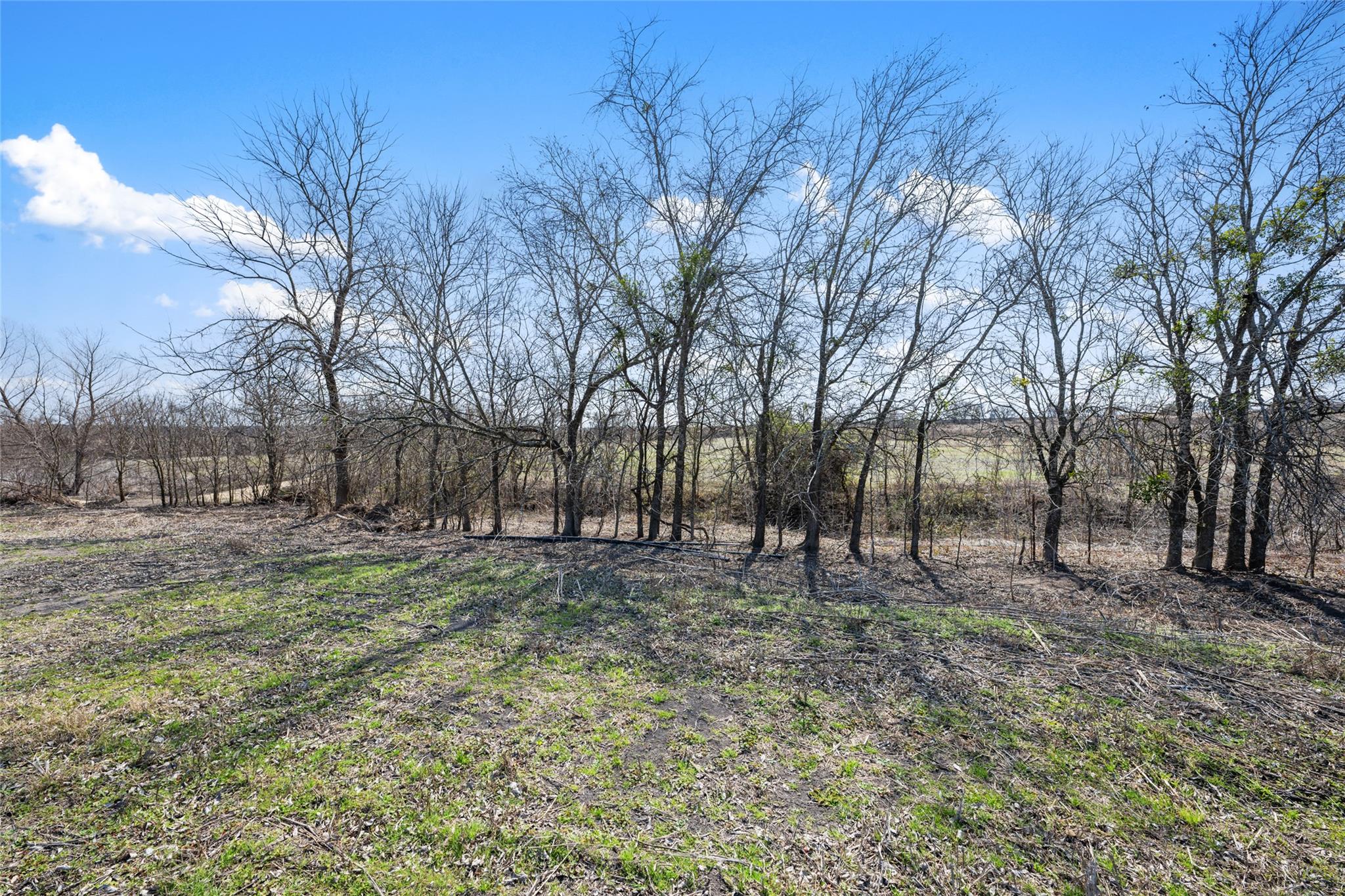 2558 E Fm 487 Property Photo 21