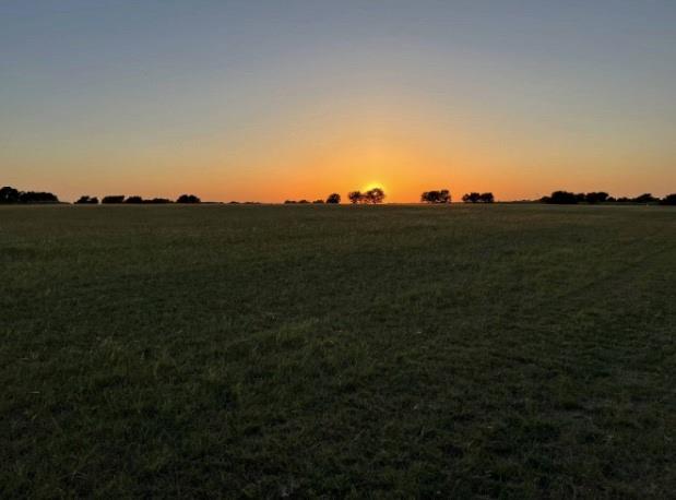 1150 County Road 405 None Property Photo 10