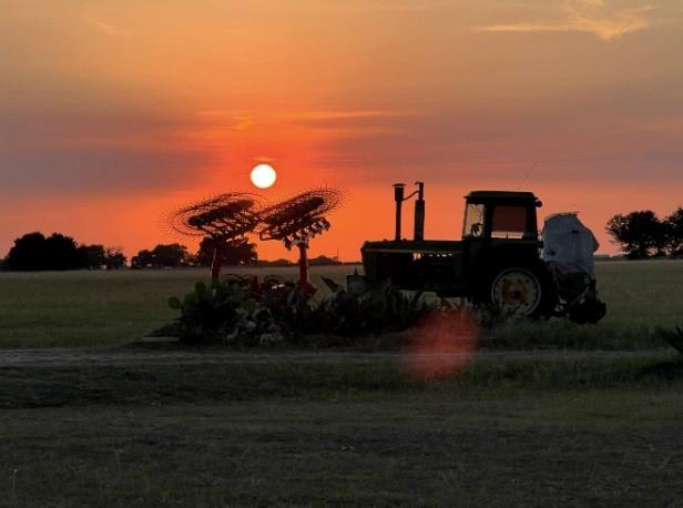 1150 County Road 405 None Property Photo 11