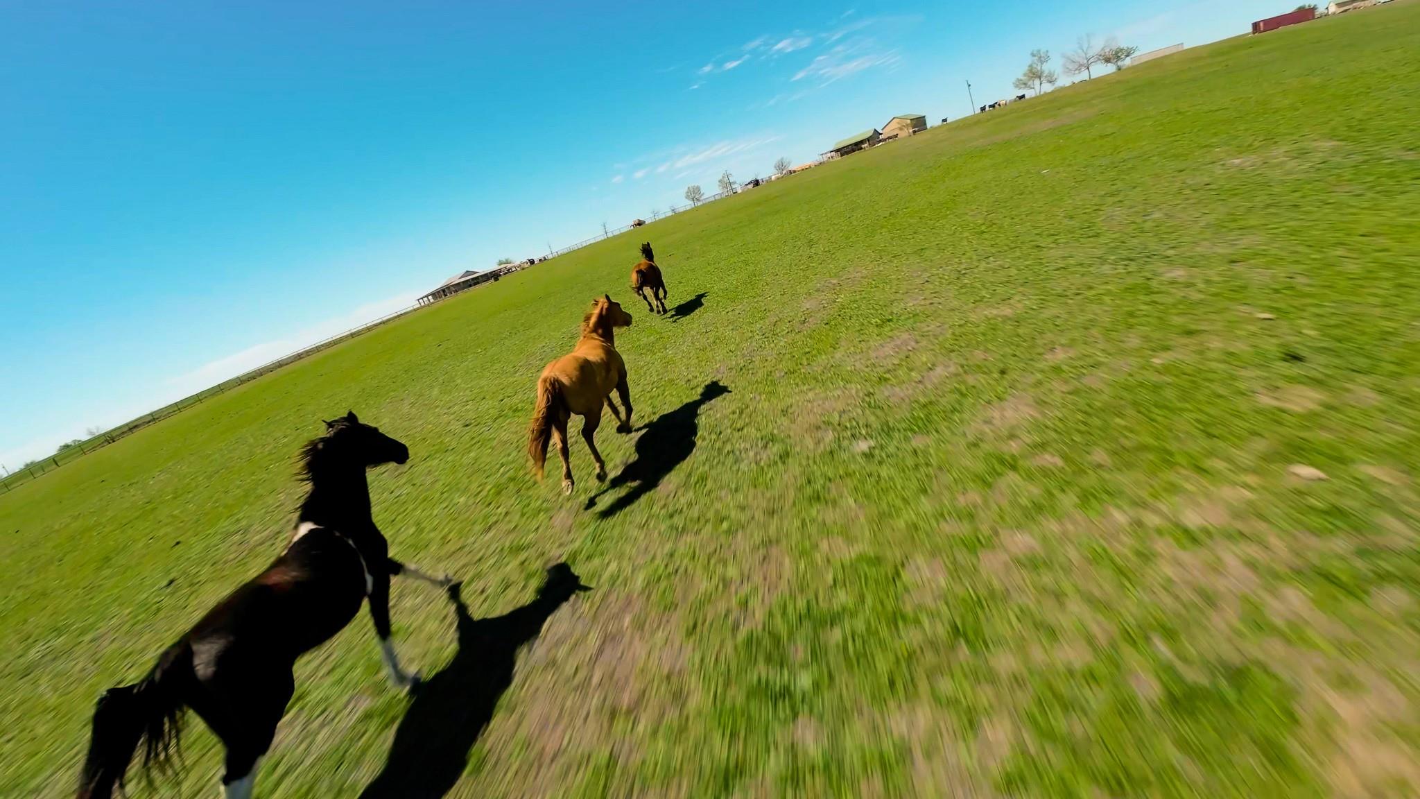 1150 County Road 405 None Property Photo 20