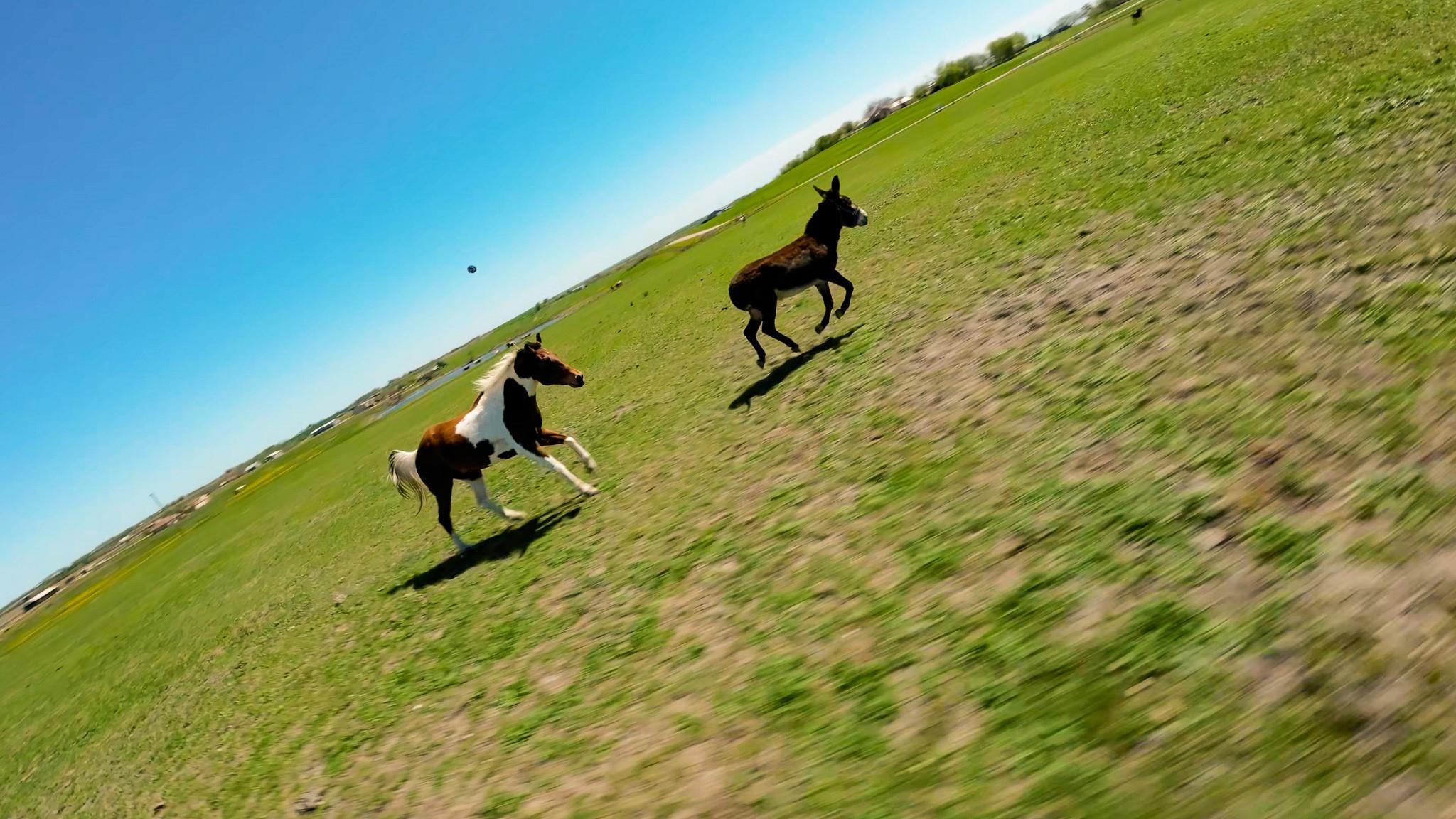 1150 County Road 405 None Property Photo 21