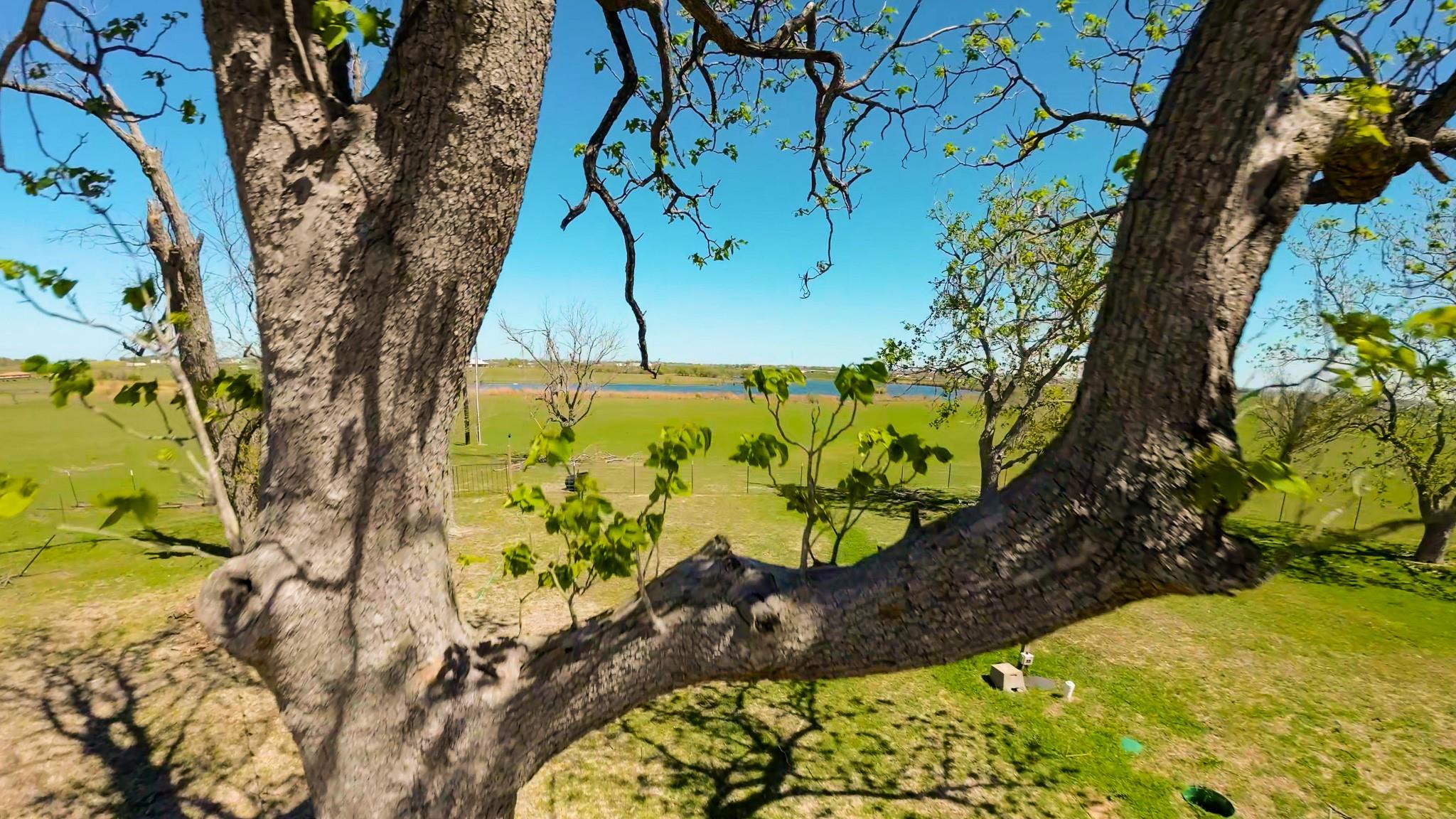 1150 County Road 405 None Property Photo 22