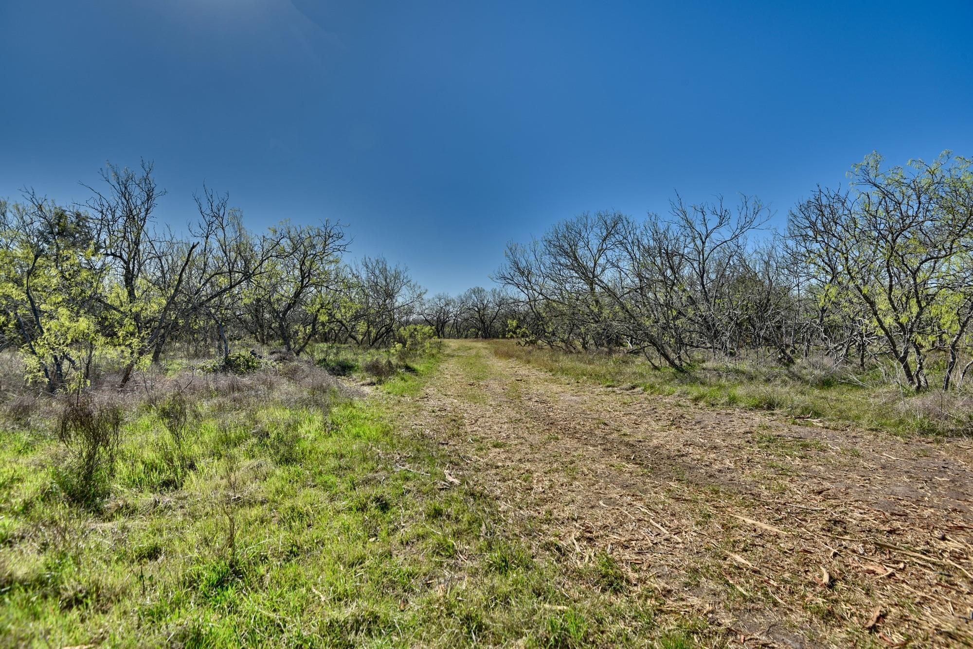 4253 N Hwy 95 Highway Property Photo 8