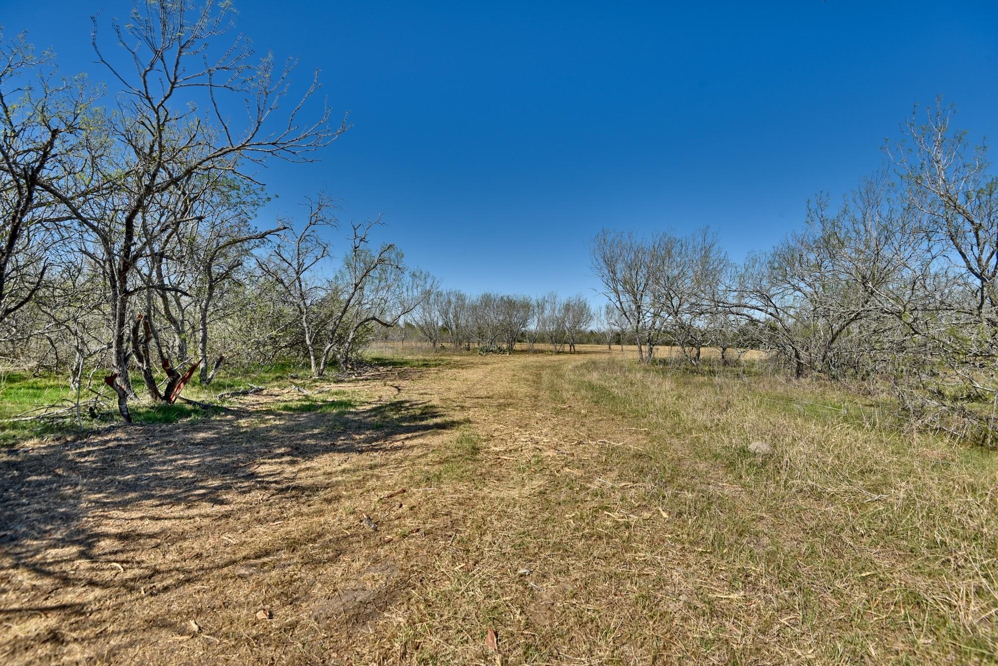 4253 N Hwy 95 Highway Property Photo 9