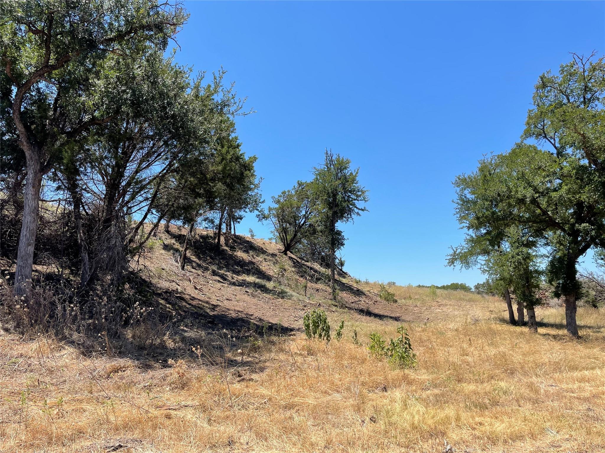 Tbd County Road 1320 Property Photo 5