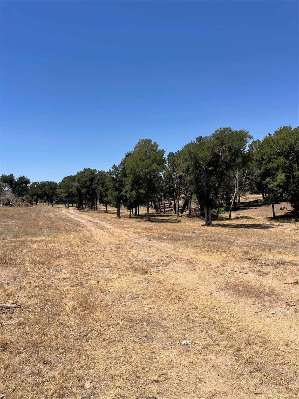 Tbd County Road 1320 Property Photo 8