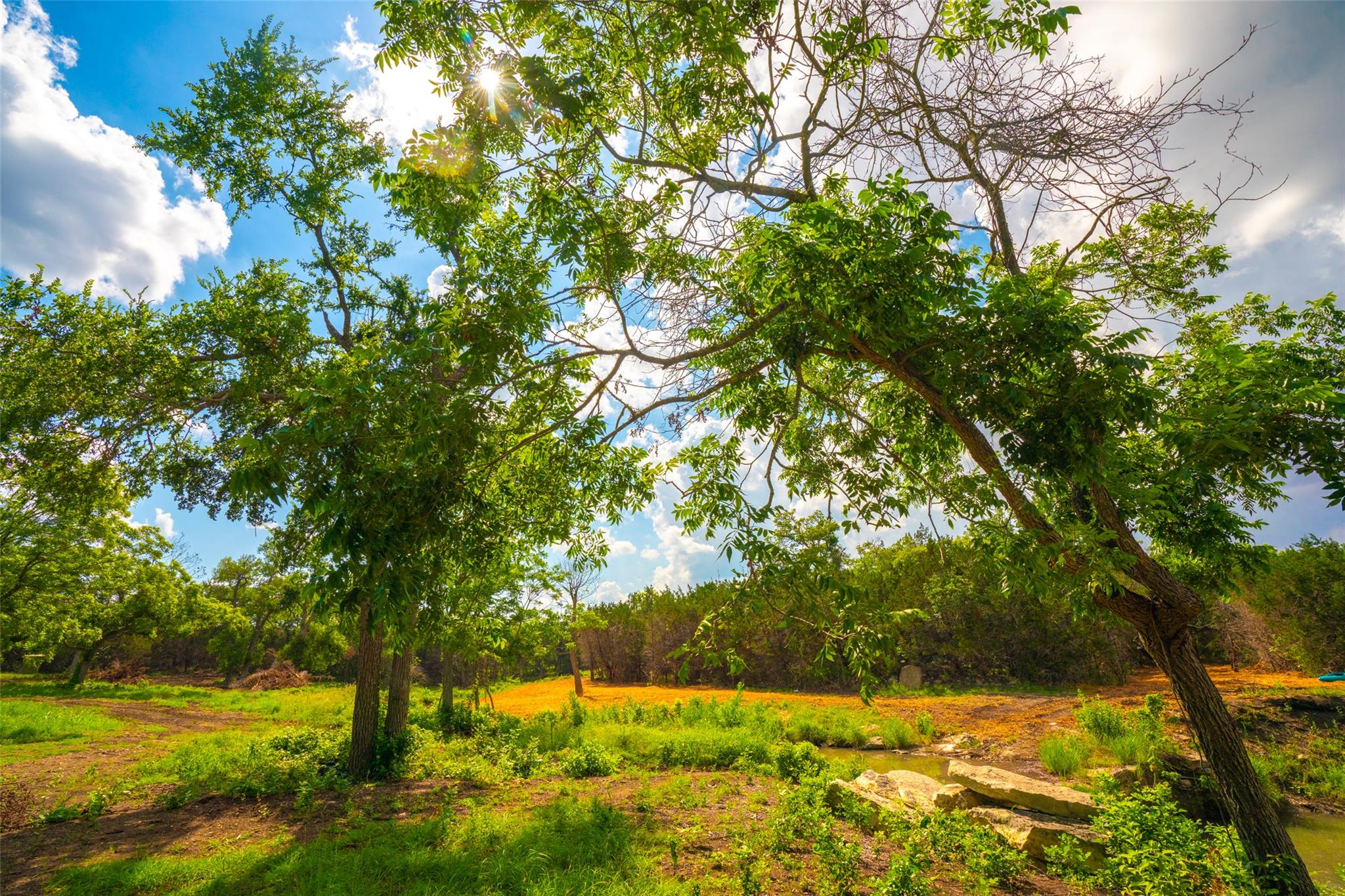 0 Spring Haven Ranch None Property Photo 4