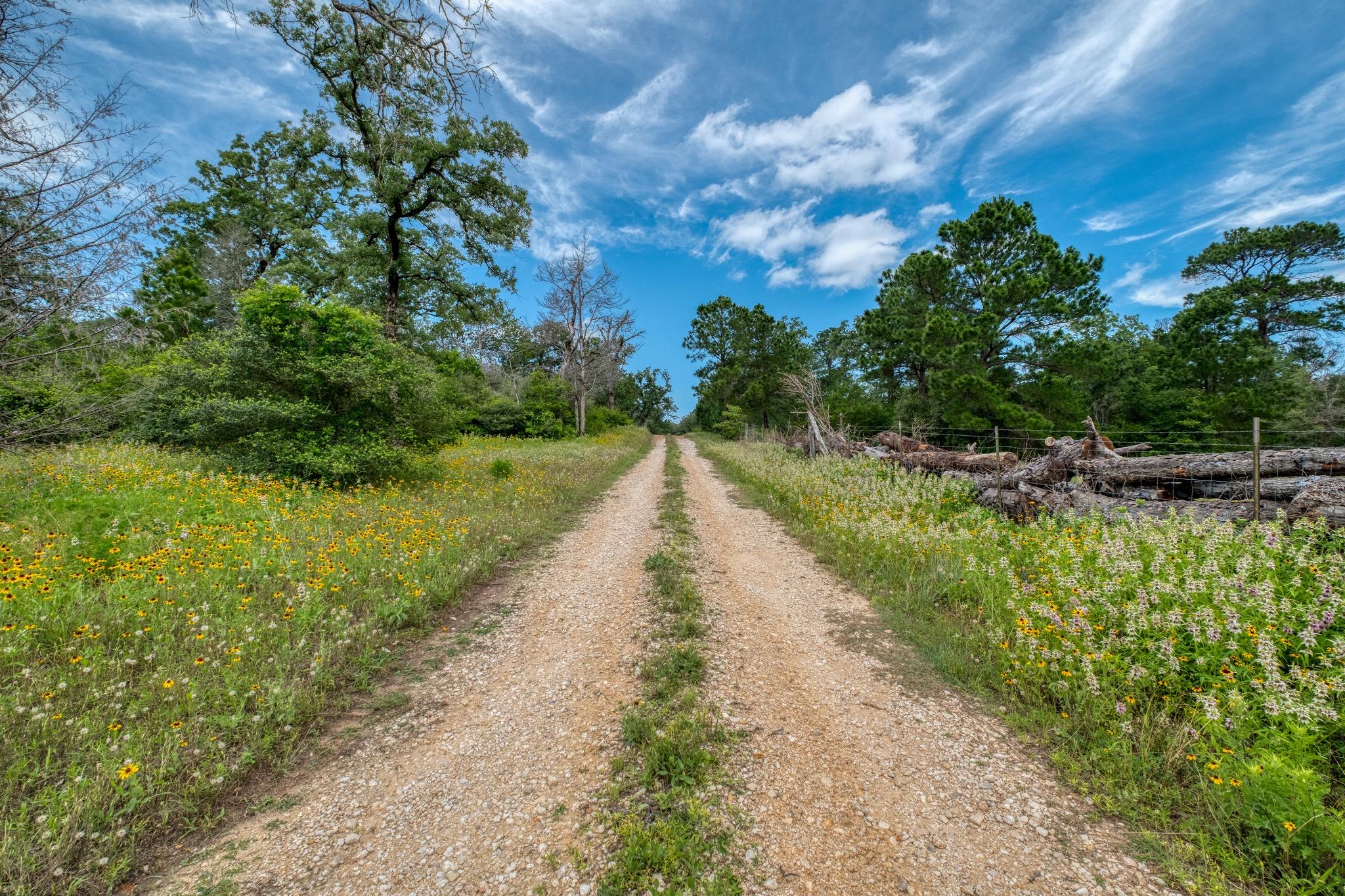 Tbd Pathfinders Way Property Photo 2