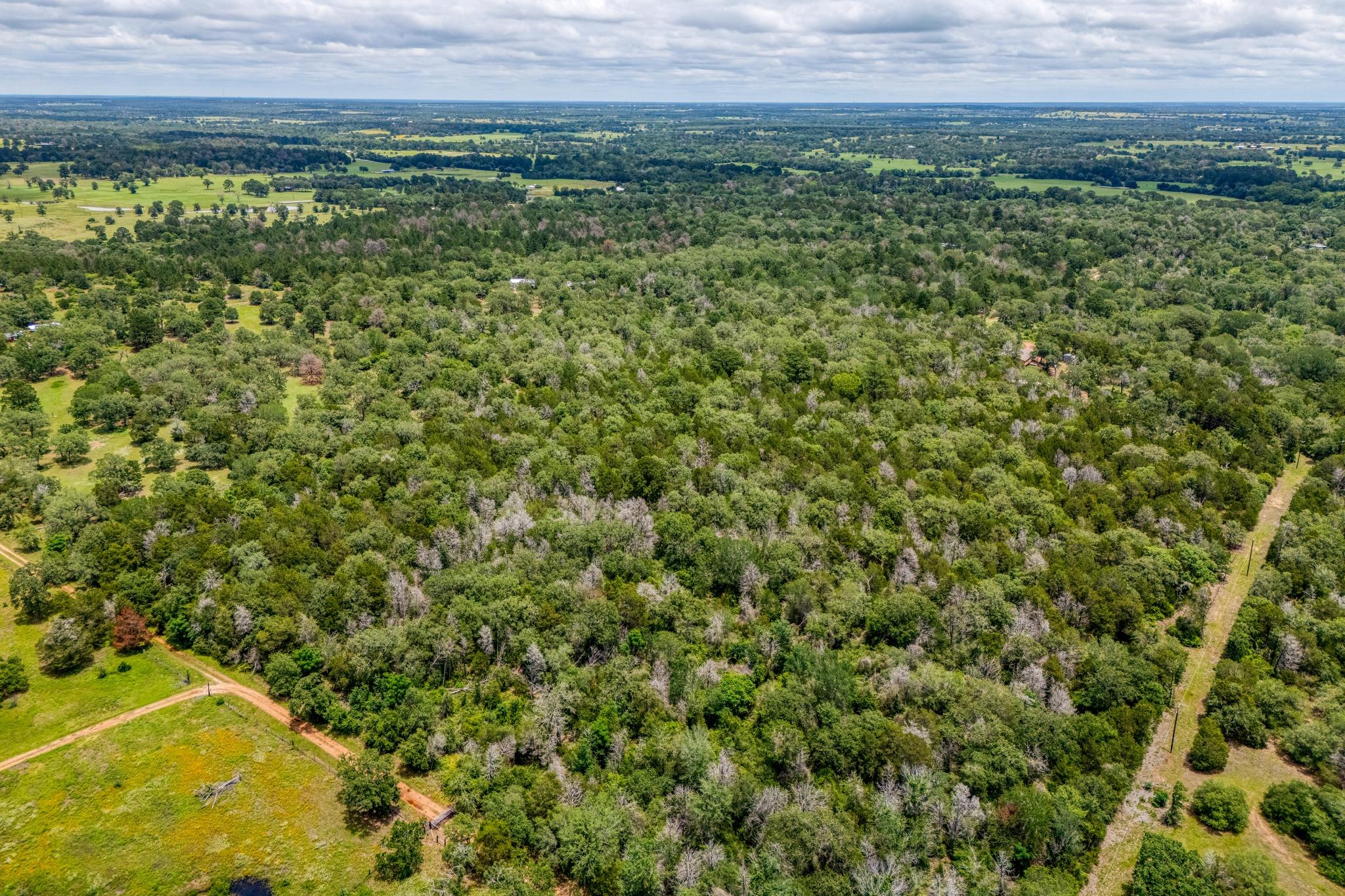Tbd Pathfinders Way Property Photo 11