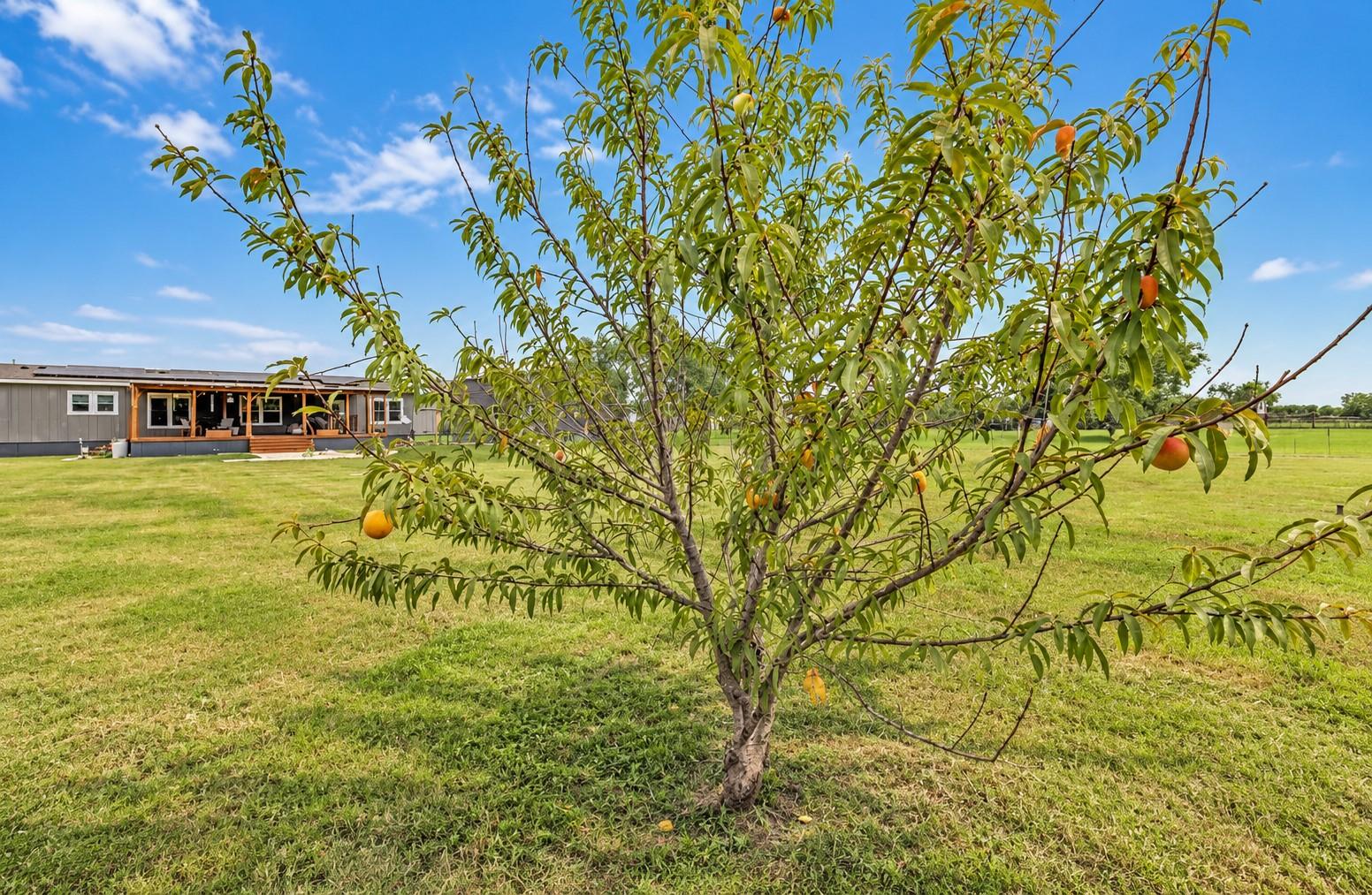 213 River Front Dr Property Photo 27