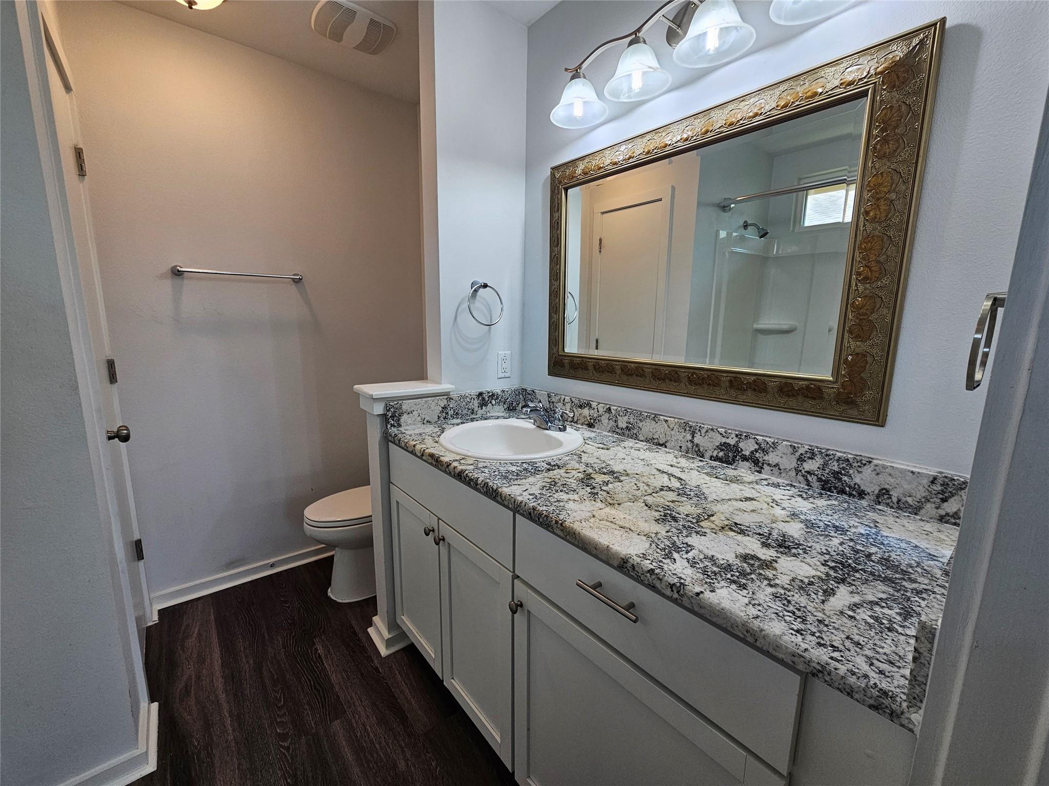 16721 Hamilton Point Cir Property Photo 20