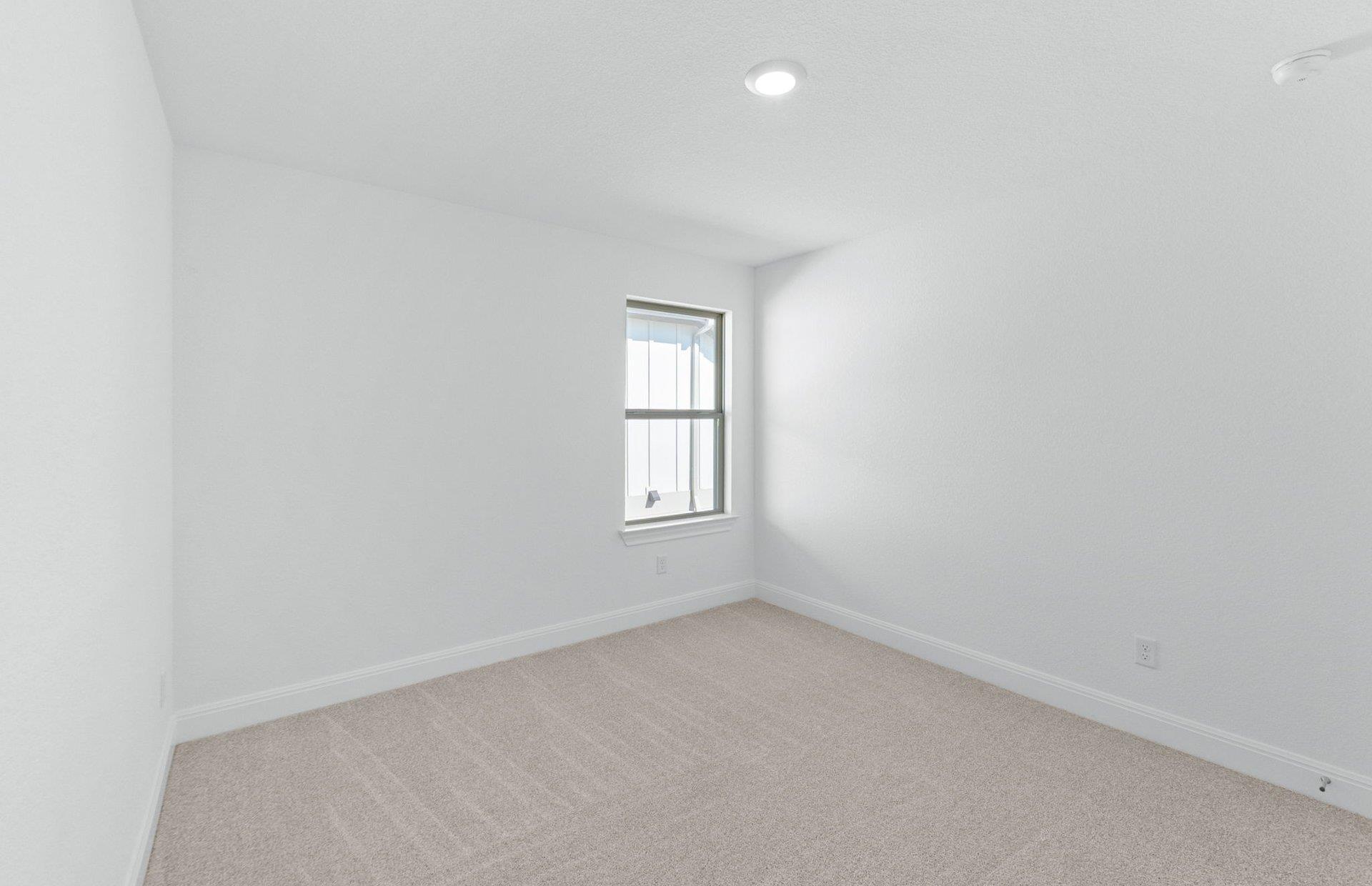 317 Bristlecone Bnd Property Photo 16