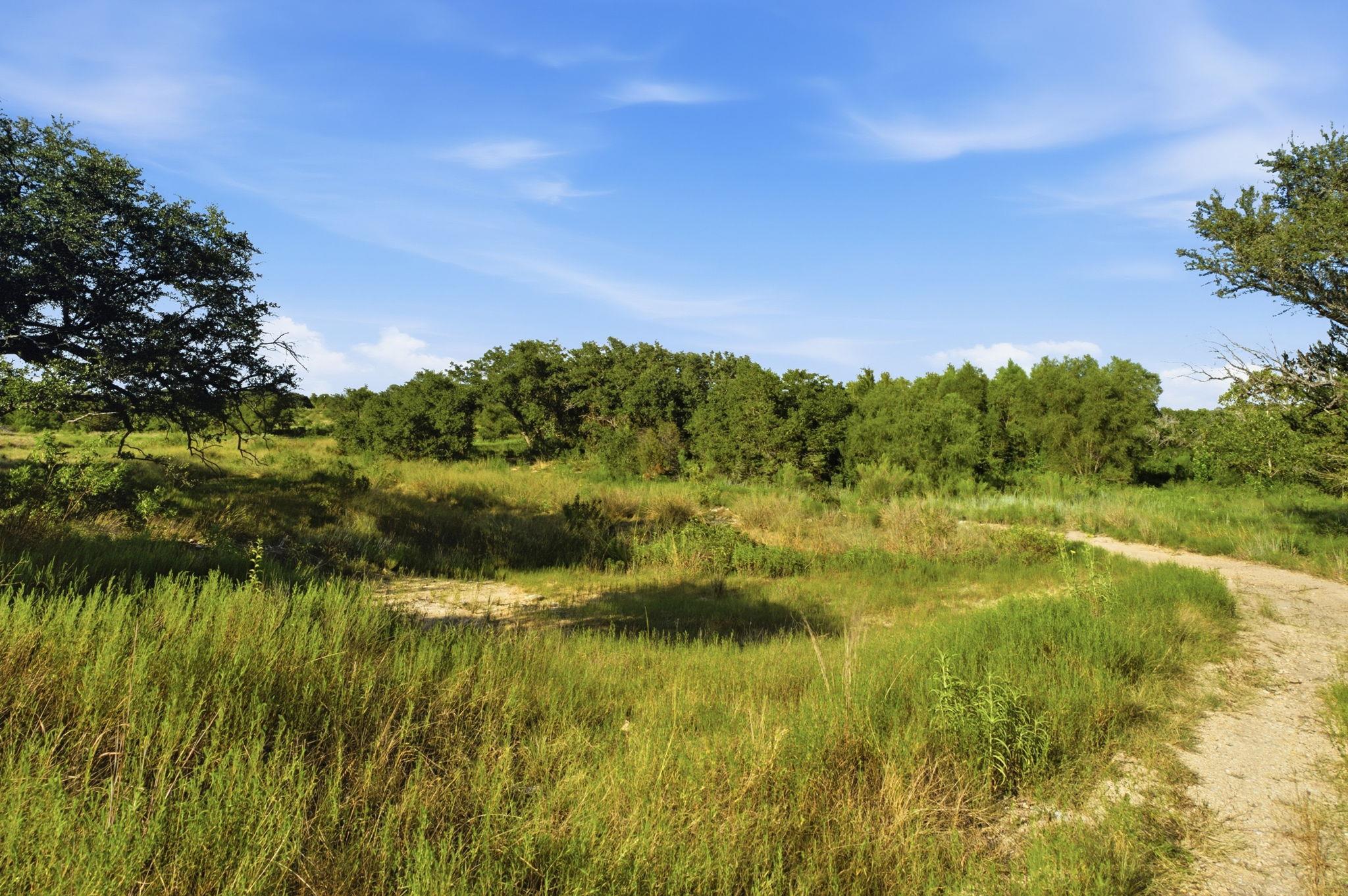 Tbd Lot 42 Stockyard Rd Property Photo 7