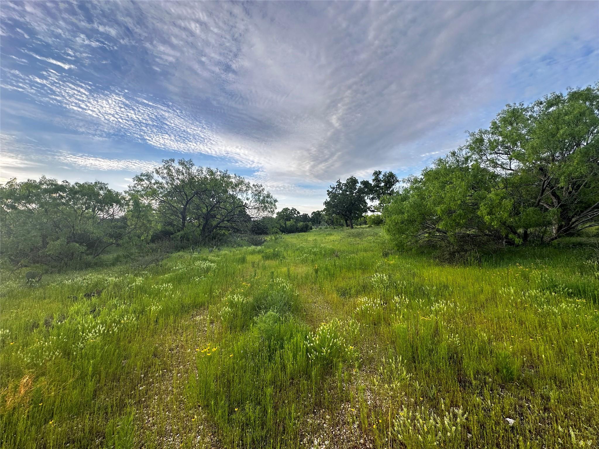 389 Rocky Hollow Rd Property Photo 5