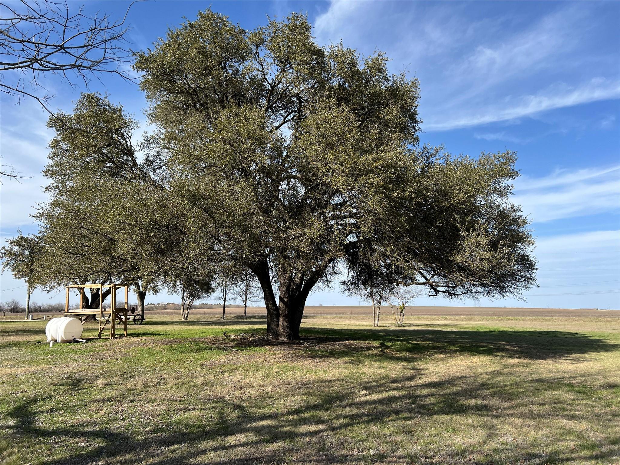 1800 County Road 330 Property Photo 12