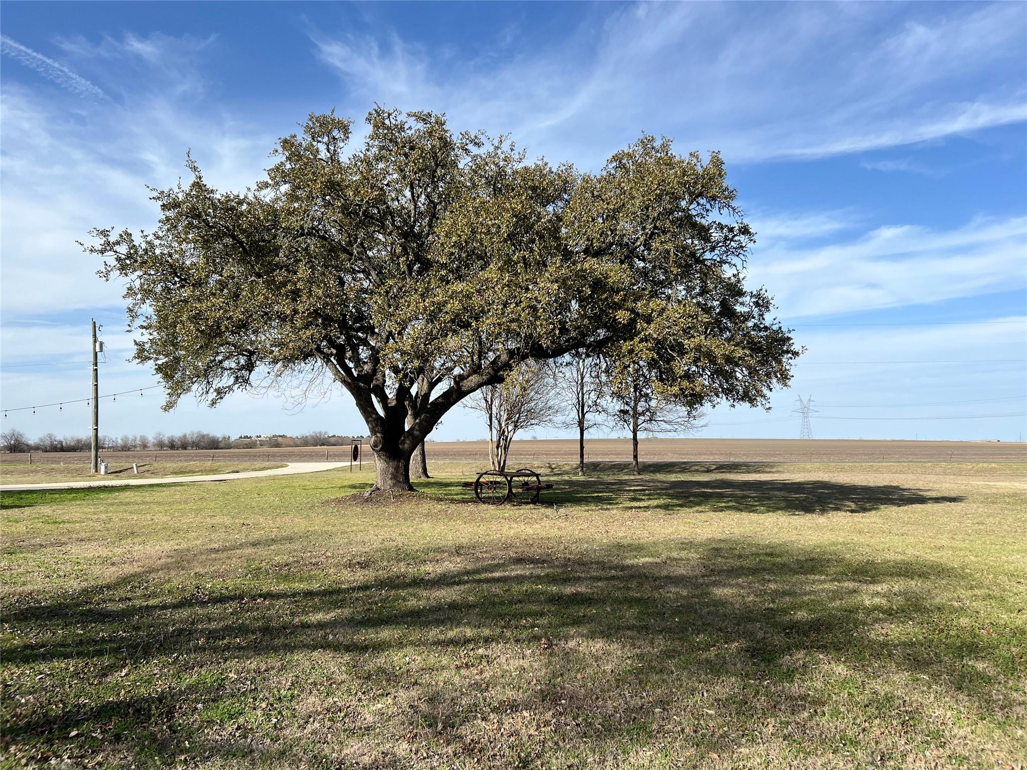 1800 County Road 330 Property Photo 13