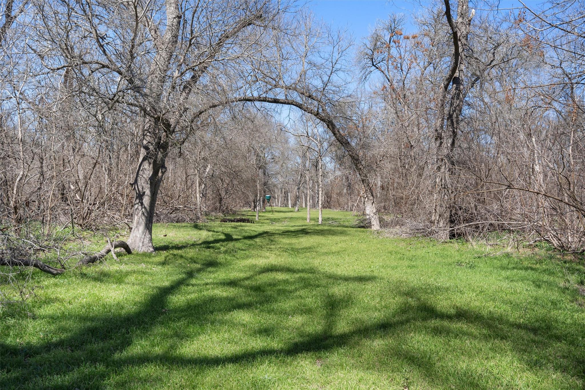 Tbd Cr 421 Property Photo