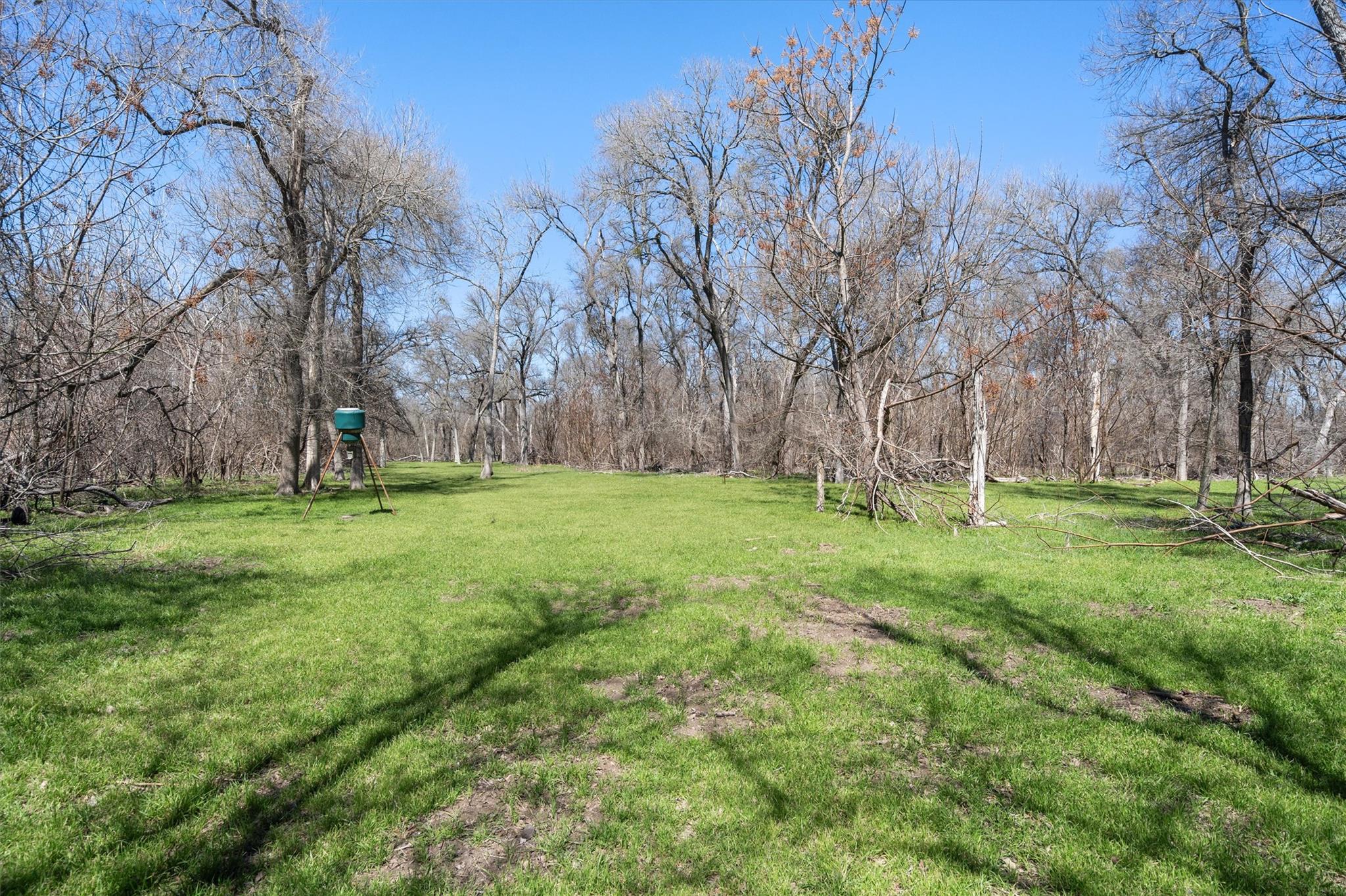 Tbd Cr 421 Property Photo 2