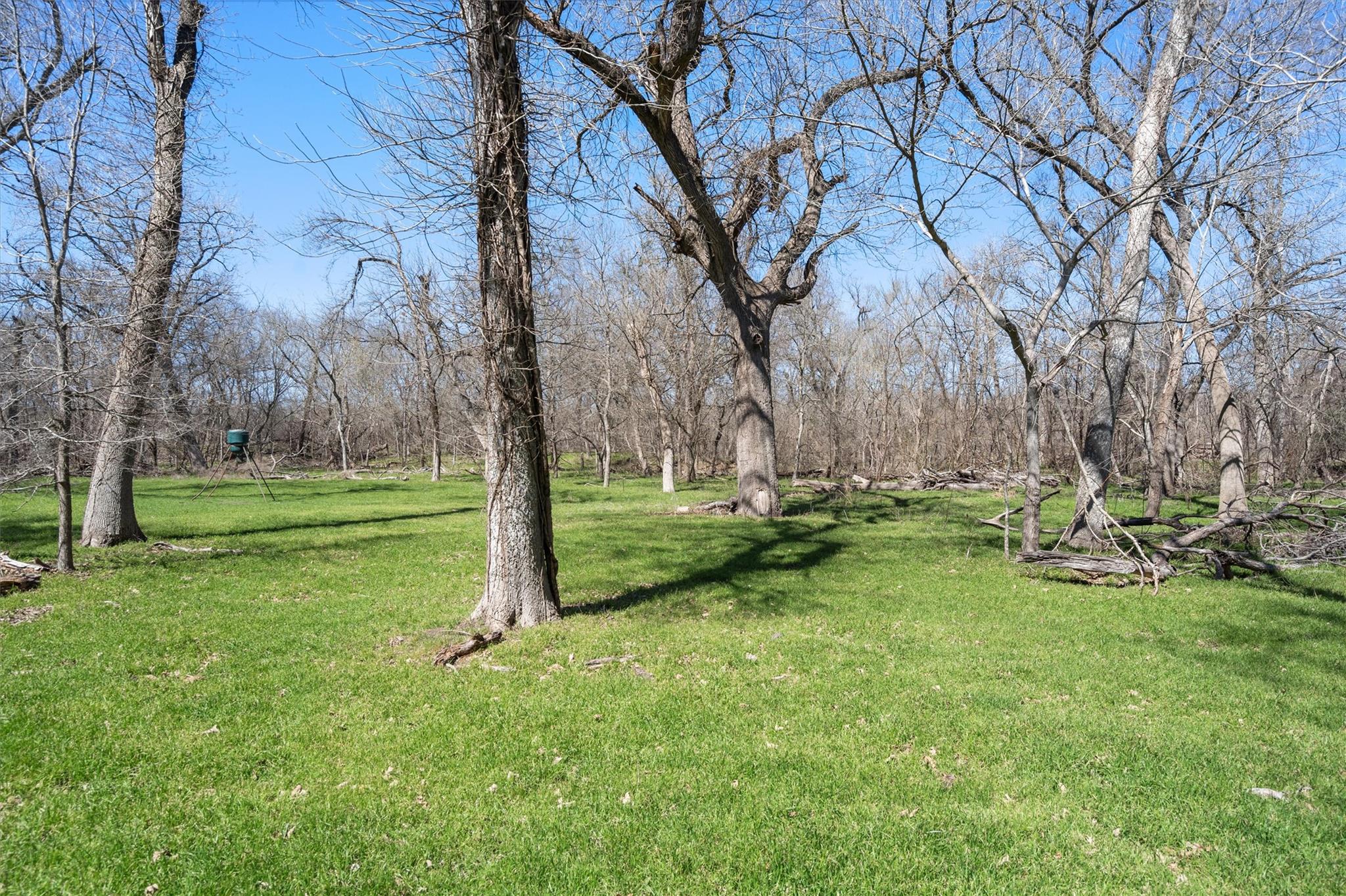 Tbd Cr 421 Property Photo 3