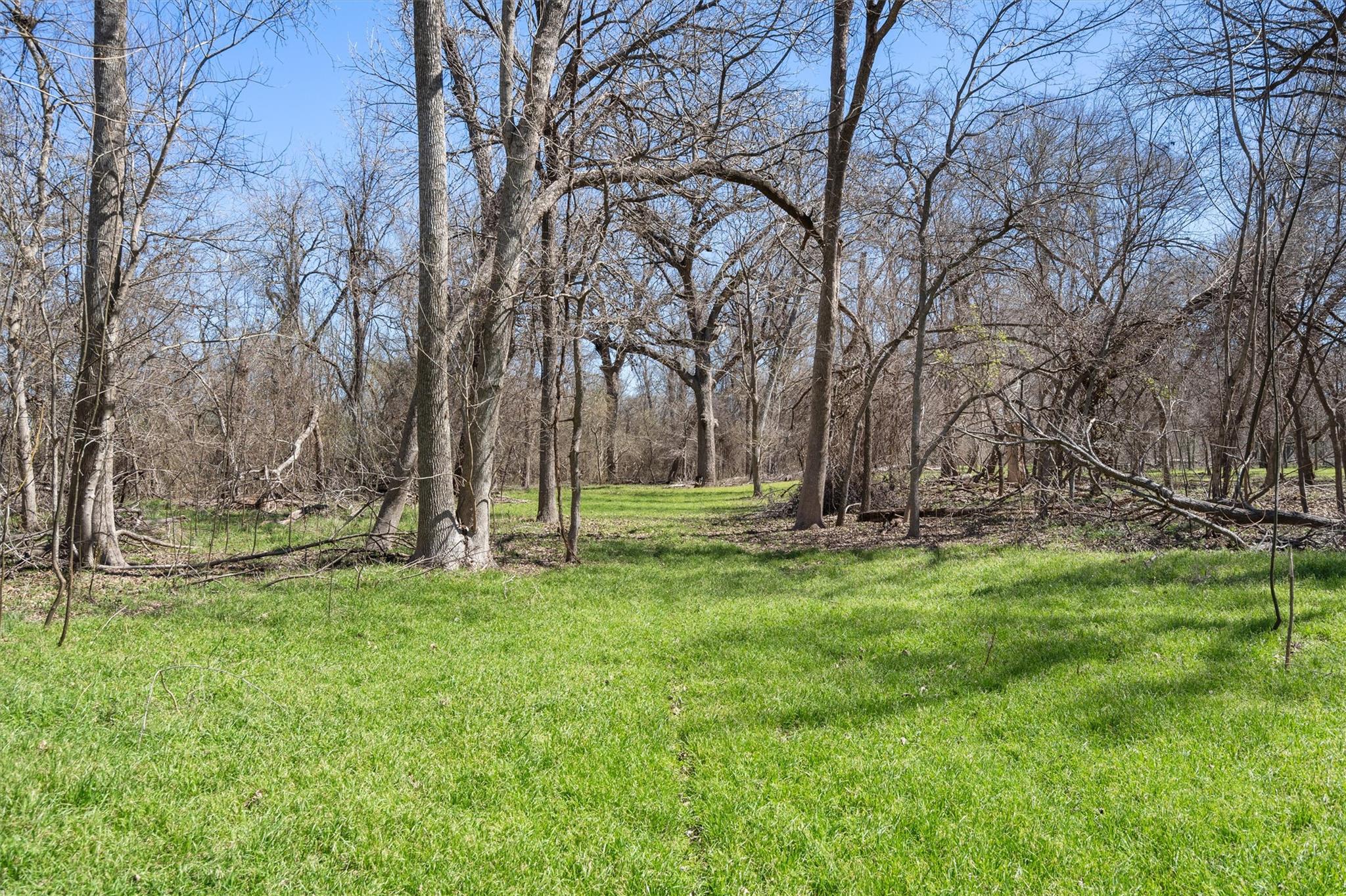 Tbd Cr 421 Property Photo 4
