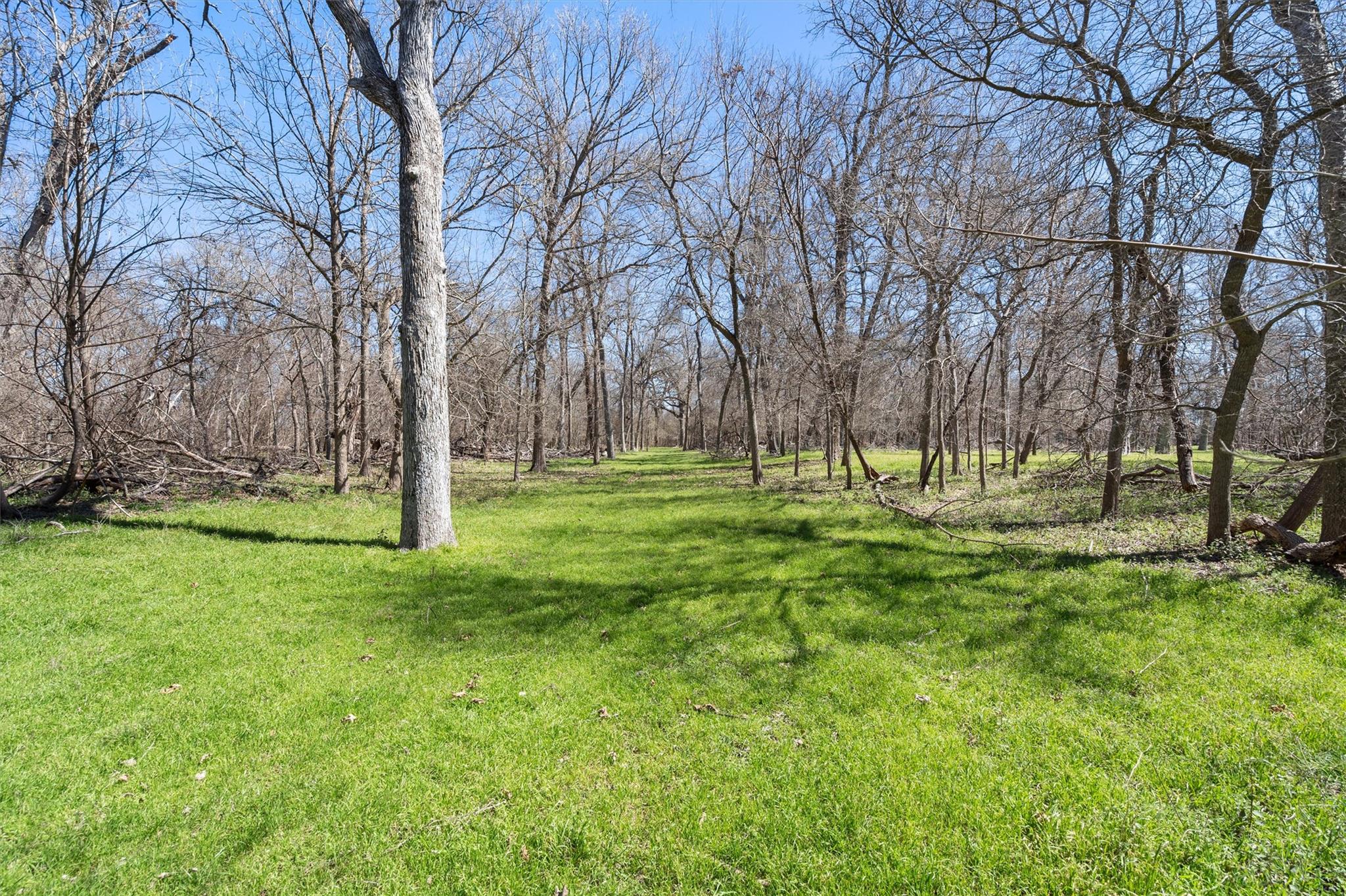 Tbd Cr 421 Property Photo 5