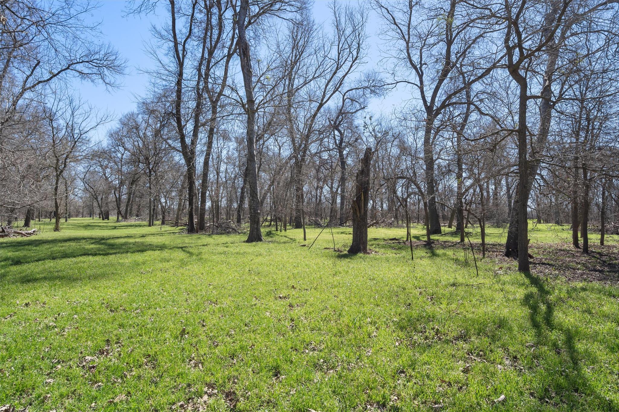 Tbd Cr 421 Property Photo 6