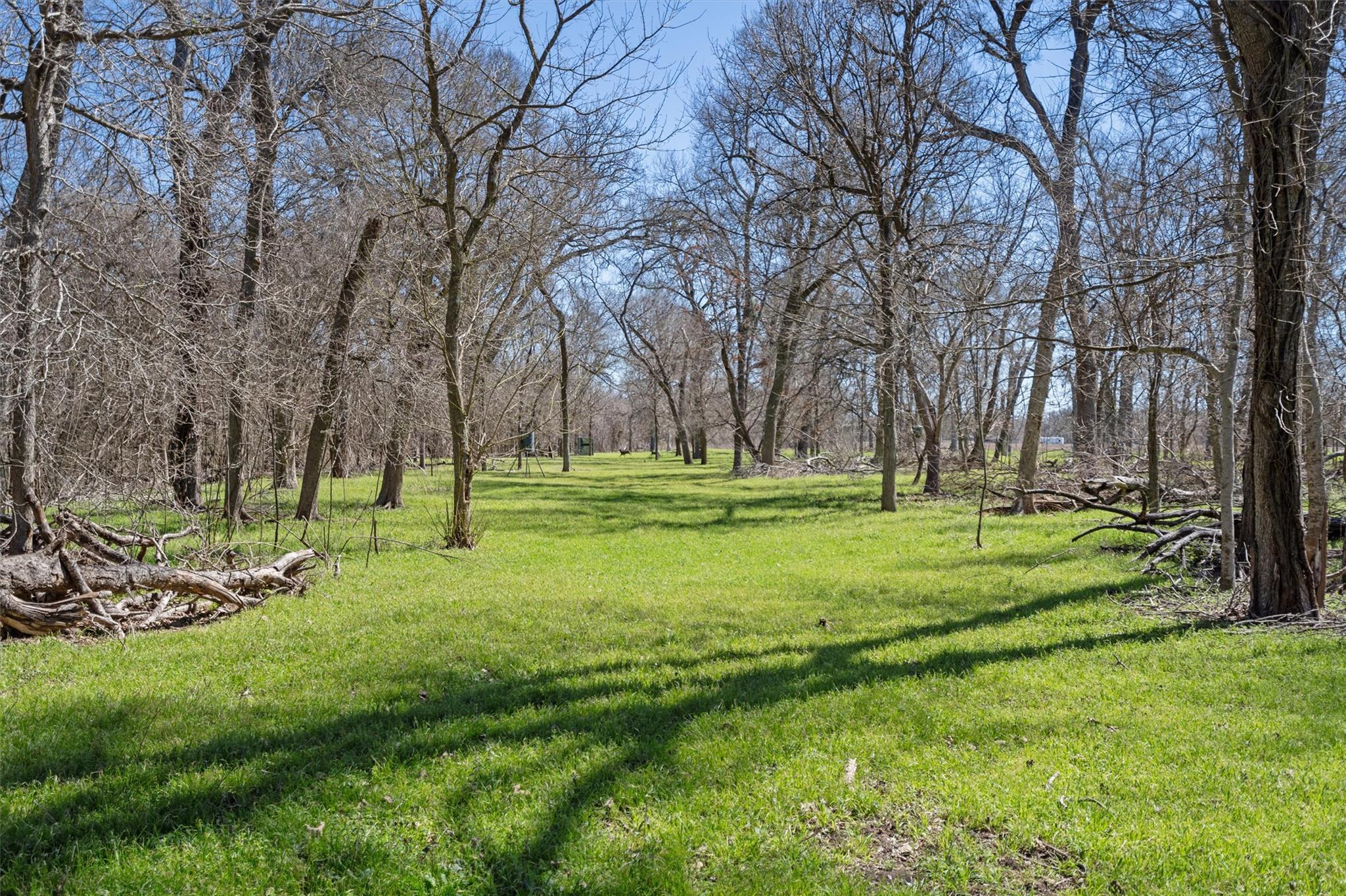 Tbd Cr 421 Property Photo 7