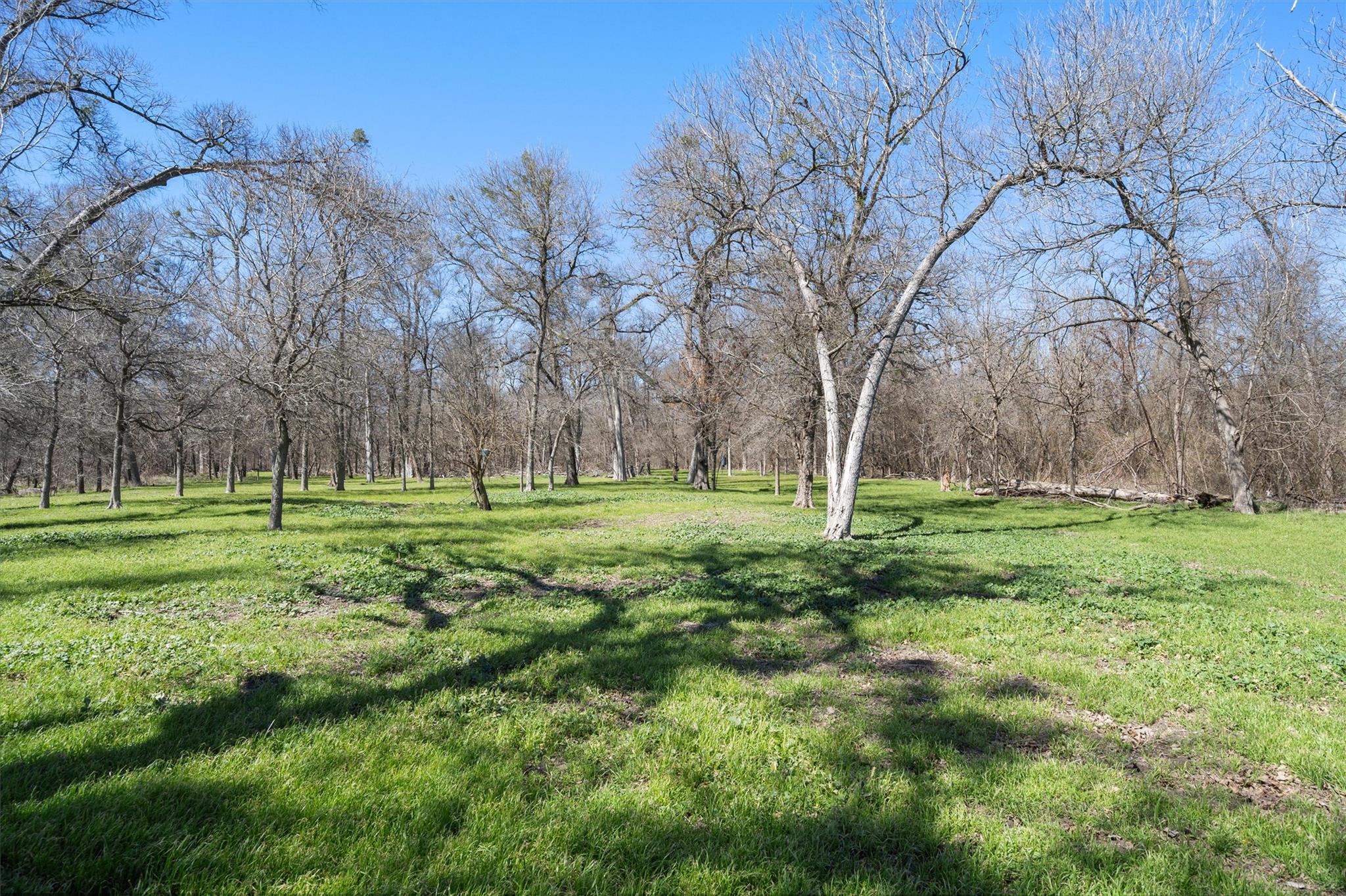 Tbd Cr 421 Property Photo 8