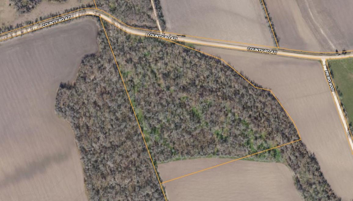 Tbd Cr 421 Property Photo 13