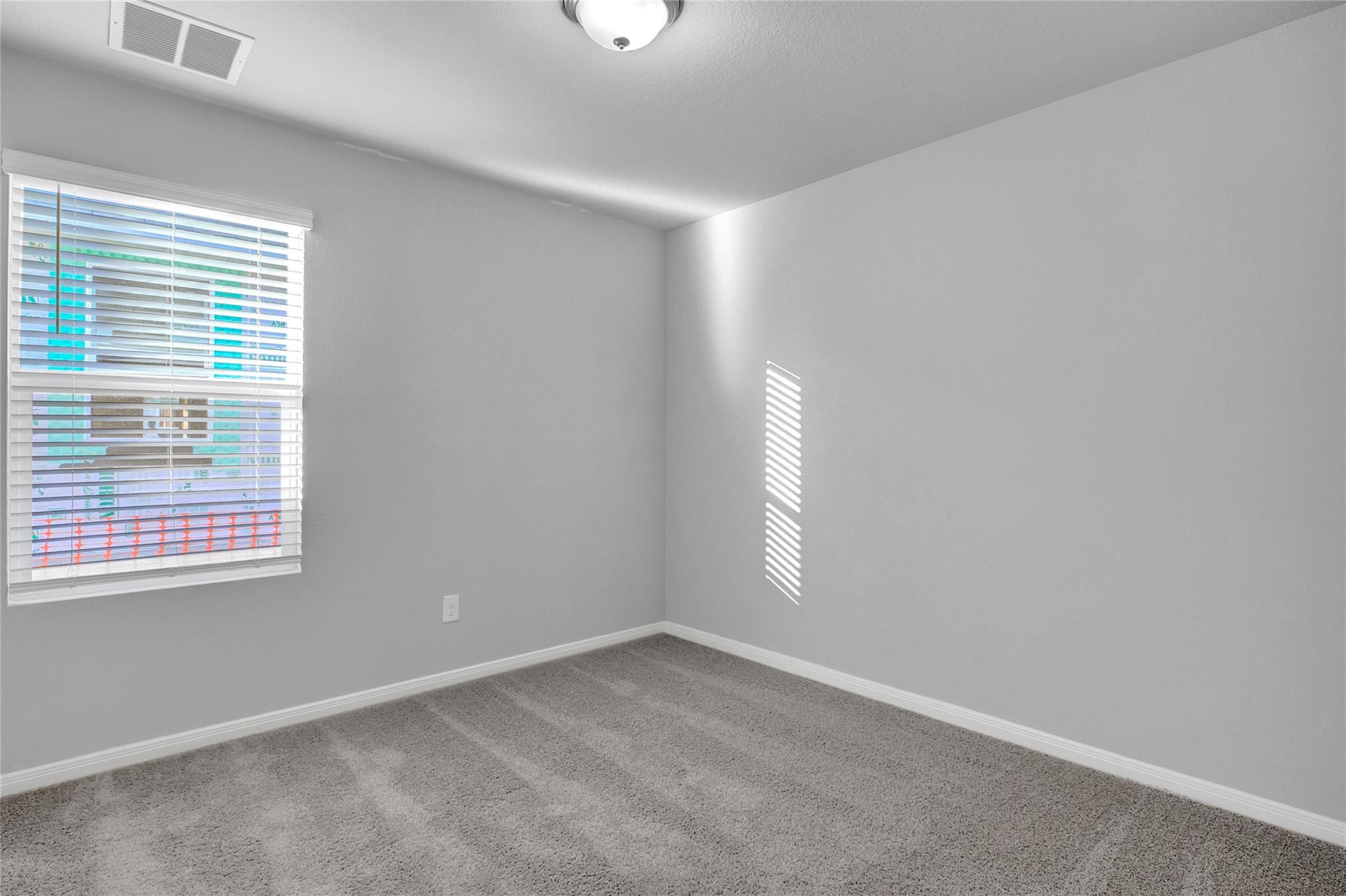 382 Morning Glory Loop Property Photo 20