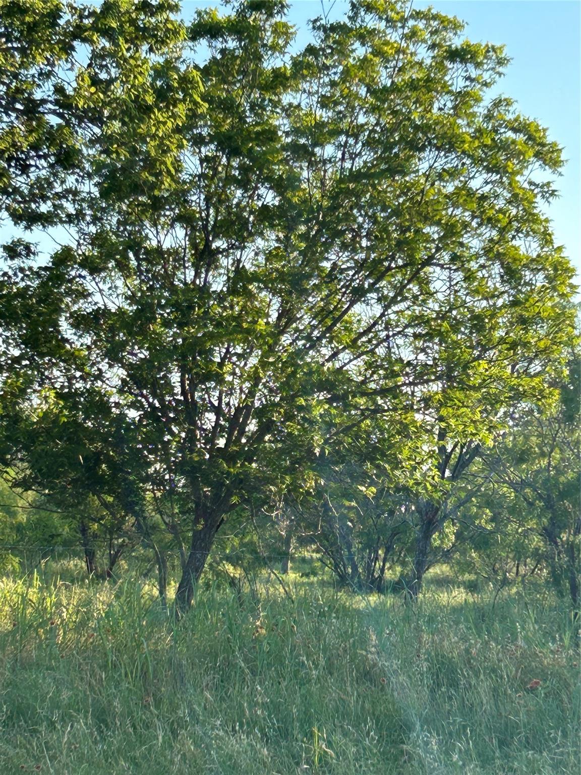 20441 Fm 2268 Property Photo 3