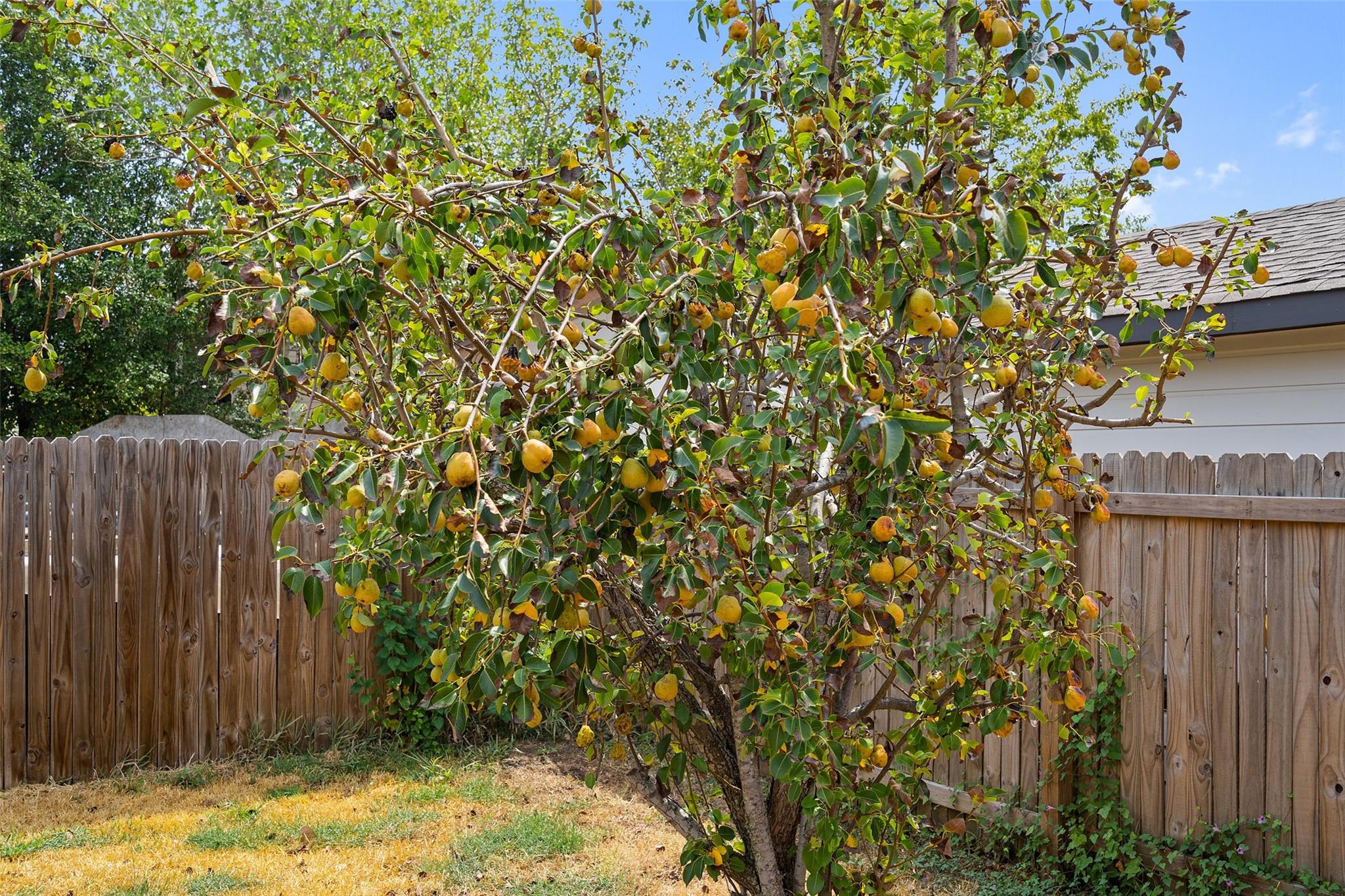 5409 Bahan Dr Property Photo 31