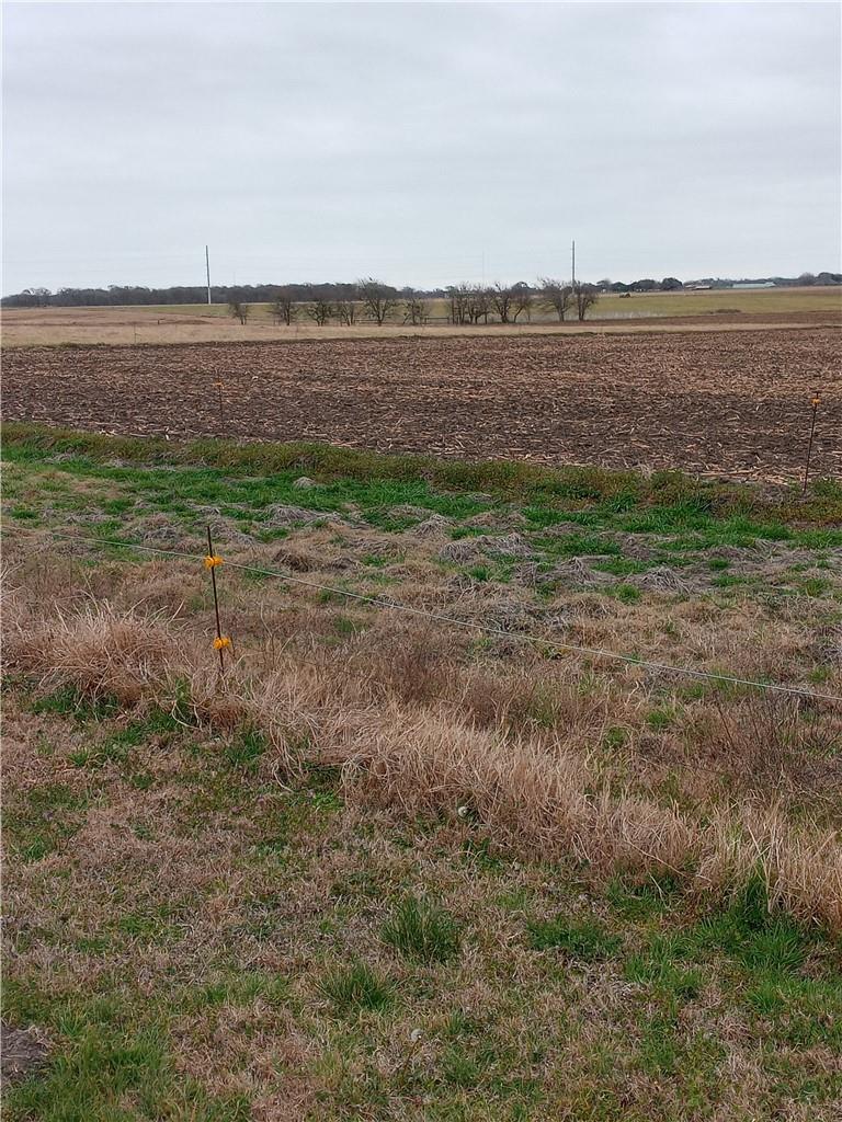 Tbd County Road 440 Property Photo 2
