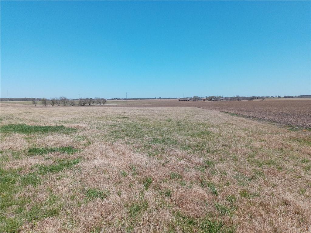 Tbd County Road 440 Property Photo 3