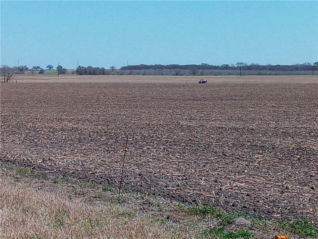 Tbd County Road 440 Property Photo 4